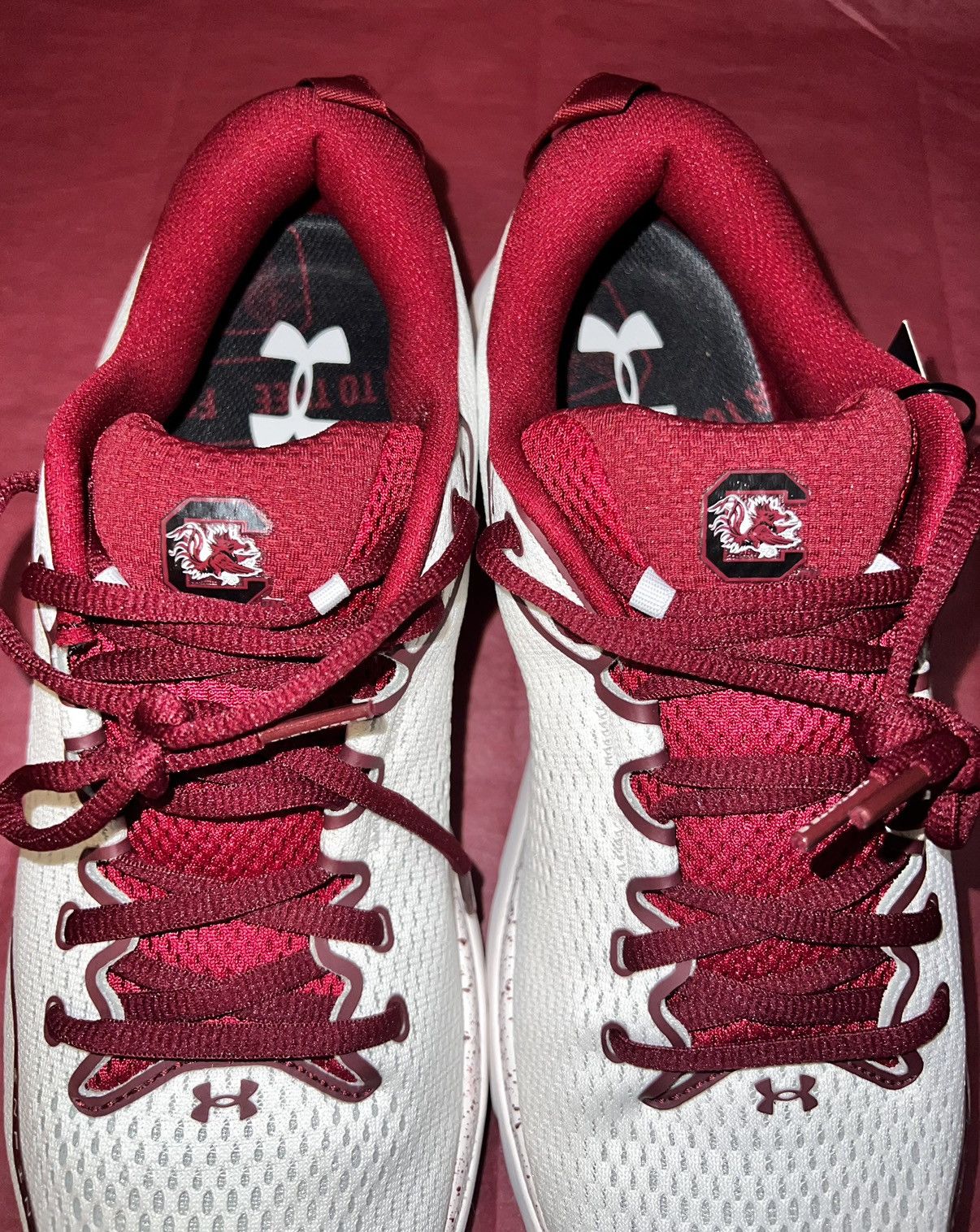 NCAA × Under Armour Under Armour Gamecocks Infinite 5 Size US 10.5 / EU 43-44 - 12 Thumbnail