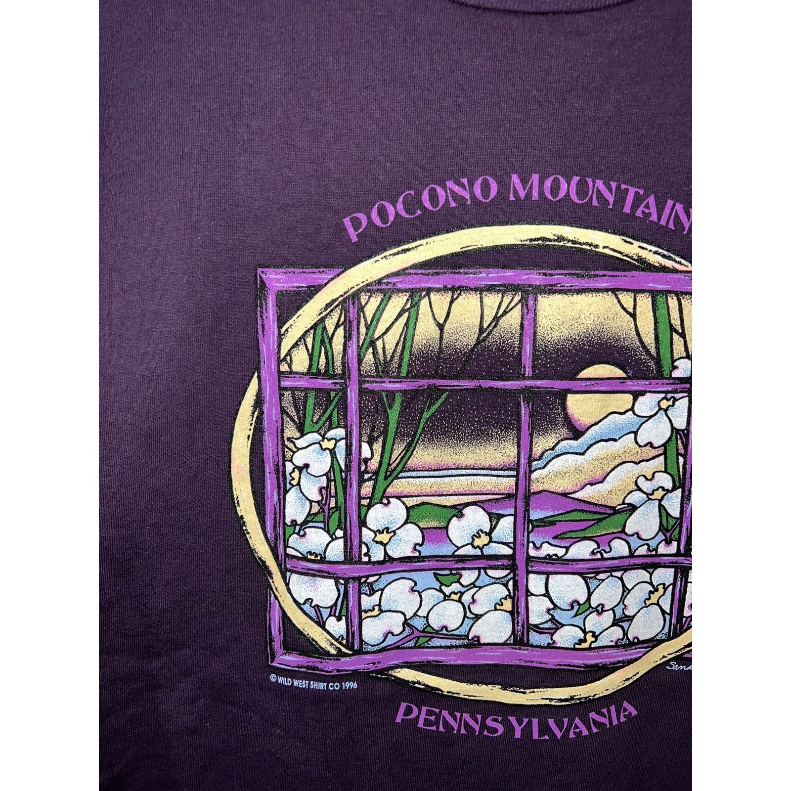 Jerzees Vintage Pocono Mountains Shirt Pennsylvania Tee VTG 90s L Size US L / EU 52-54 / 3 - 2 Thumbnail