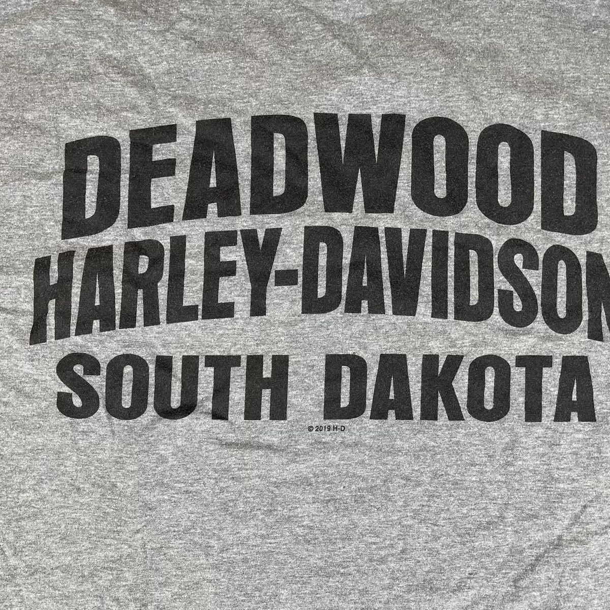 Harley Davidson Harley Davidson gray deadwood South Dakota t shirt Size US L / EU 52-54 / 3 - 4 Thumbnail