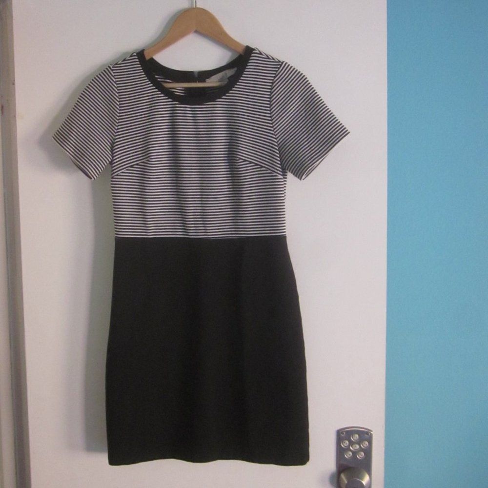 Loft Loft Work Dress Size 2P Size XS / US 0-2 / IT 36-38 - 2 Thumbnail