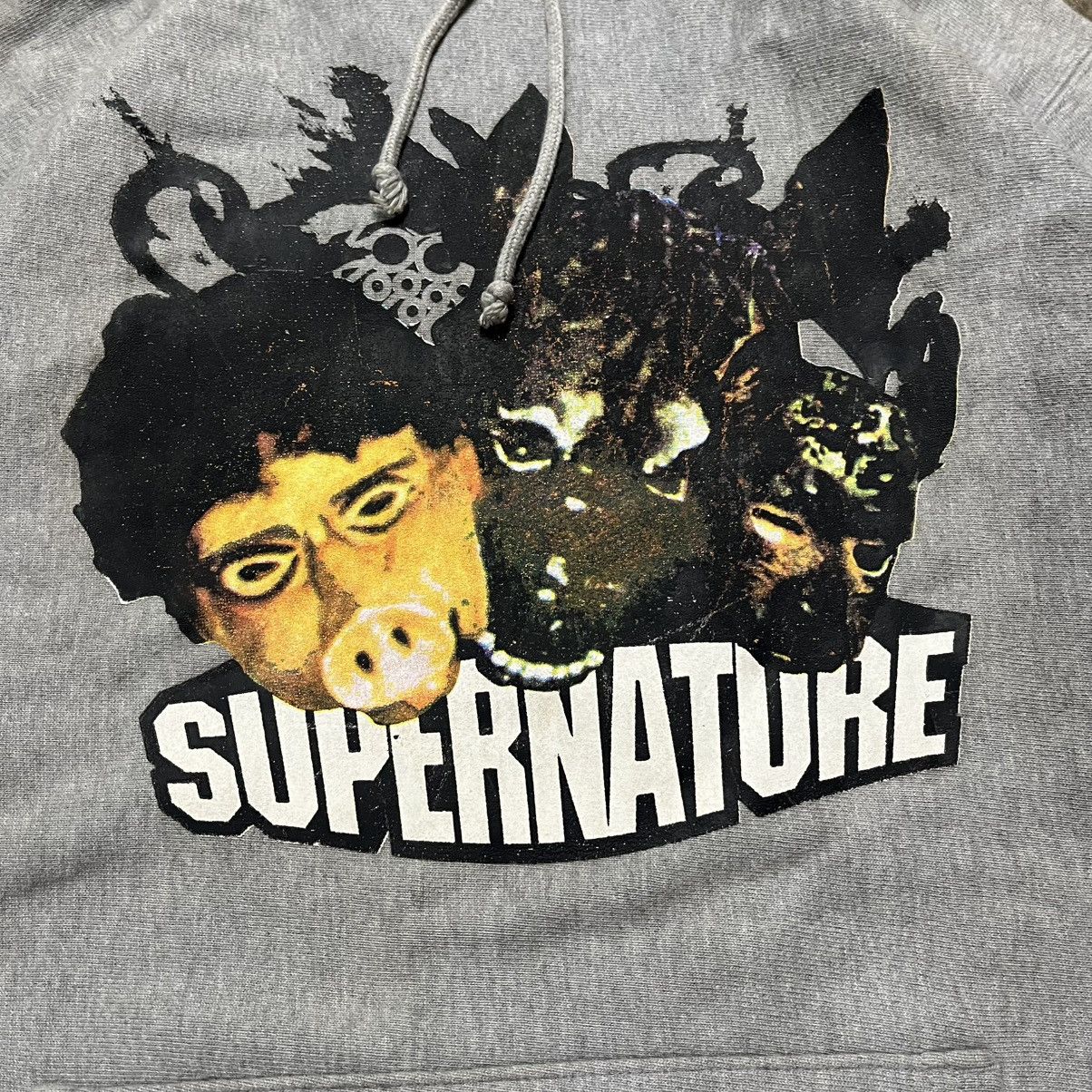 Japanese Brand hoodie balance co x cerrone supernature Size US L / EU 52-54 / 3 - 2 Thumbnail