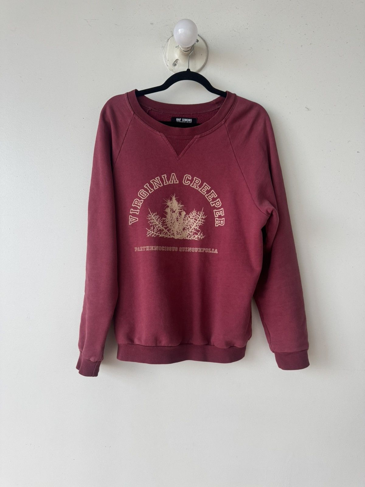 Raf Simons Raf Simons A/W ‘02 “Virginia Creeper” Sweatshirt Size US S / EU 44-46 / 1 - 1 Thumbnail