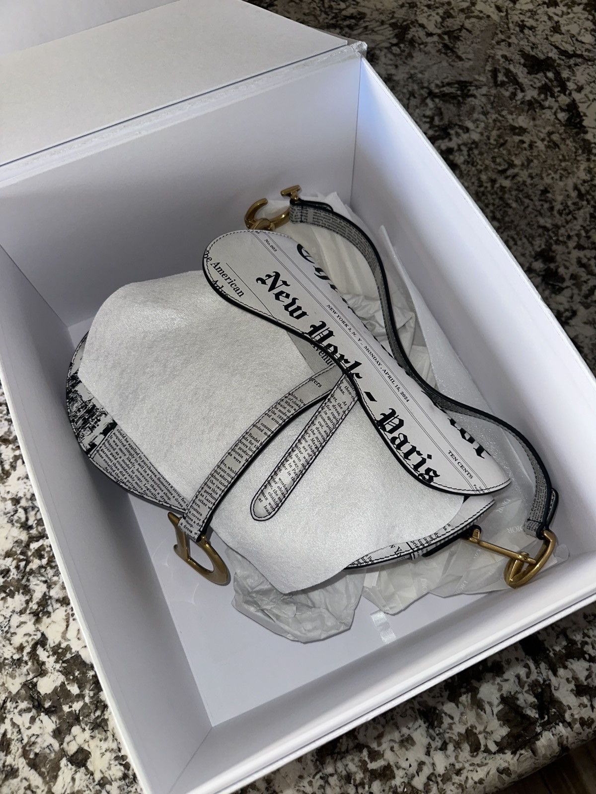 Dior Dior Newspaper Saddle Bag Rare Size ONE SIZE - 2 Thumbnail