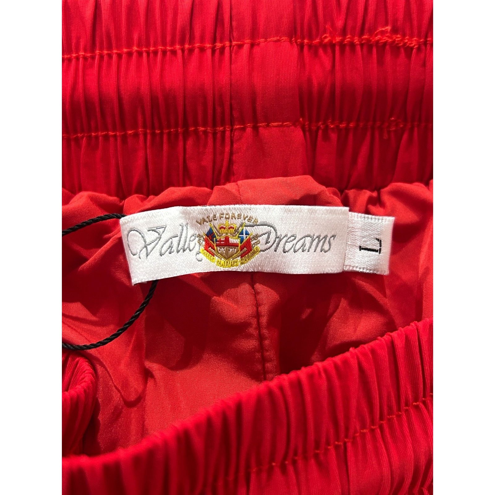 Vale VALE FOREVER RED VALEWERKZ SWISH NYLON PANT SIZE LARGE NEW Size US 30 / EU 46 - 3 Thumbnail