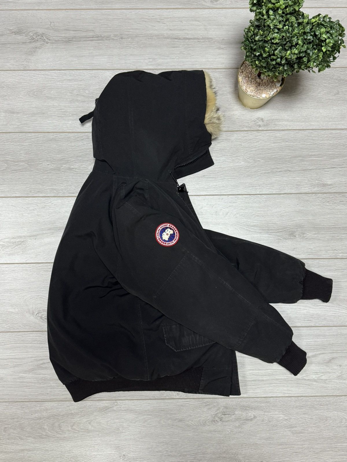 Canada Goose Canada Goose Chilliwack bomber down jacket fur Size US M / EU 48-50 / 2 - 4 Thumbnail