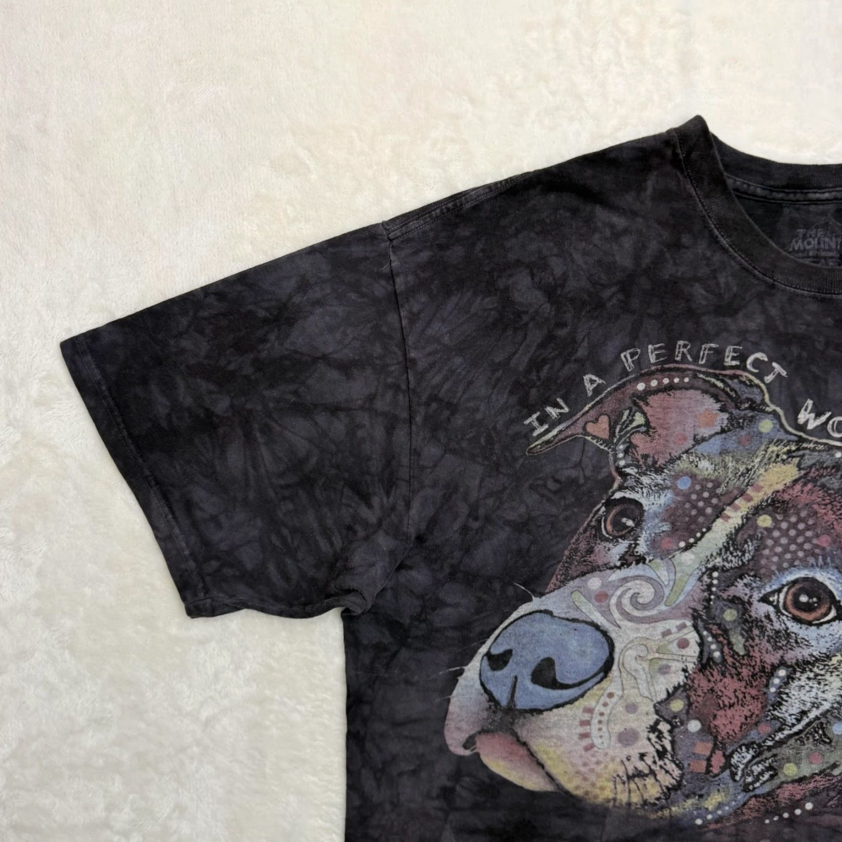 The Mountain VINTAGE The Mountain Shirt Mens XL Black Tie Dye Dog Rescue Graphic In A Perfect World Size US XL / EU 56 / 4 - 5 Thumbnail