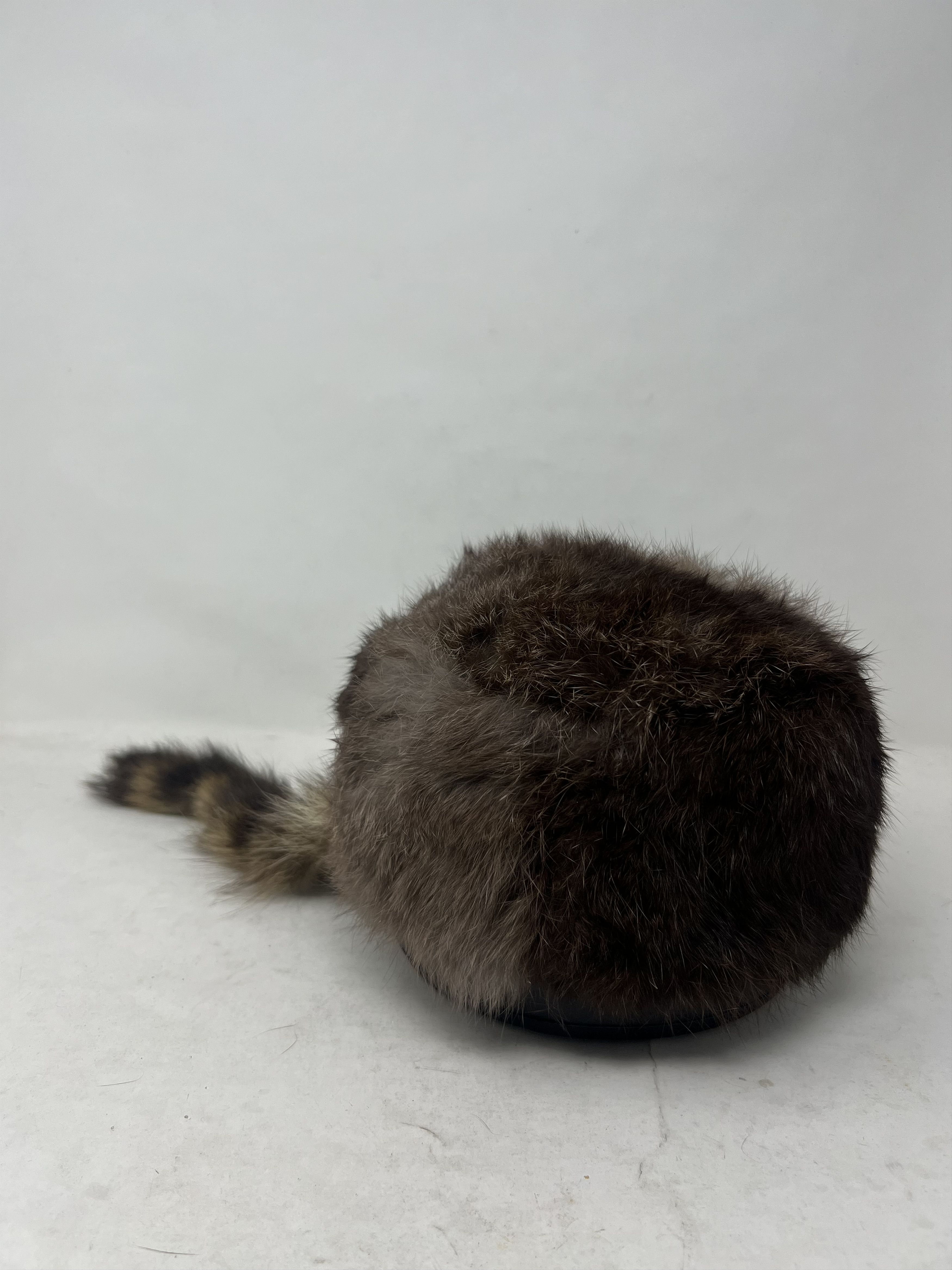 Vintage DAVY CROCKETT RACCON DANIEL BOONE FUR HAT Size ONE SIZE - 4 Thumbnail