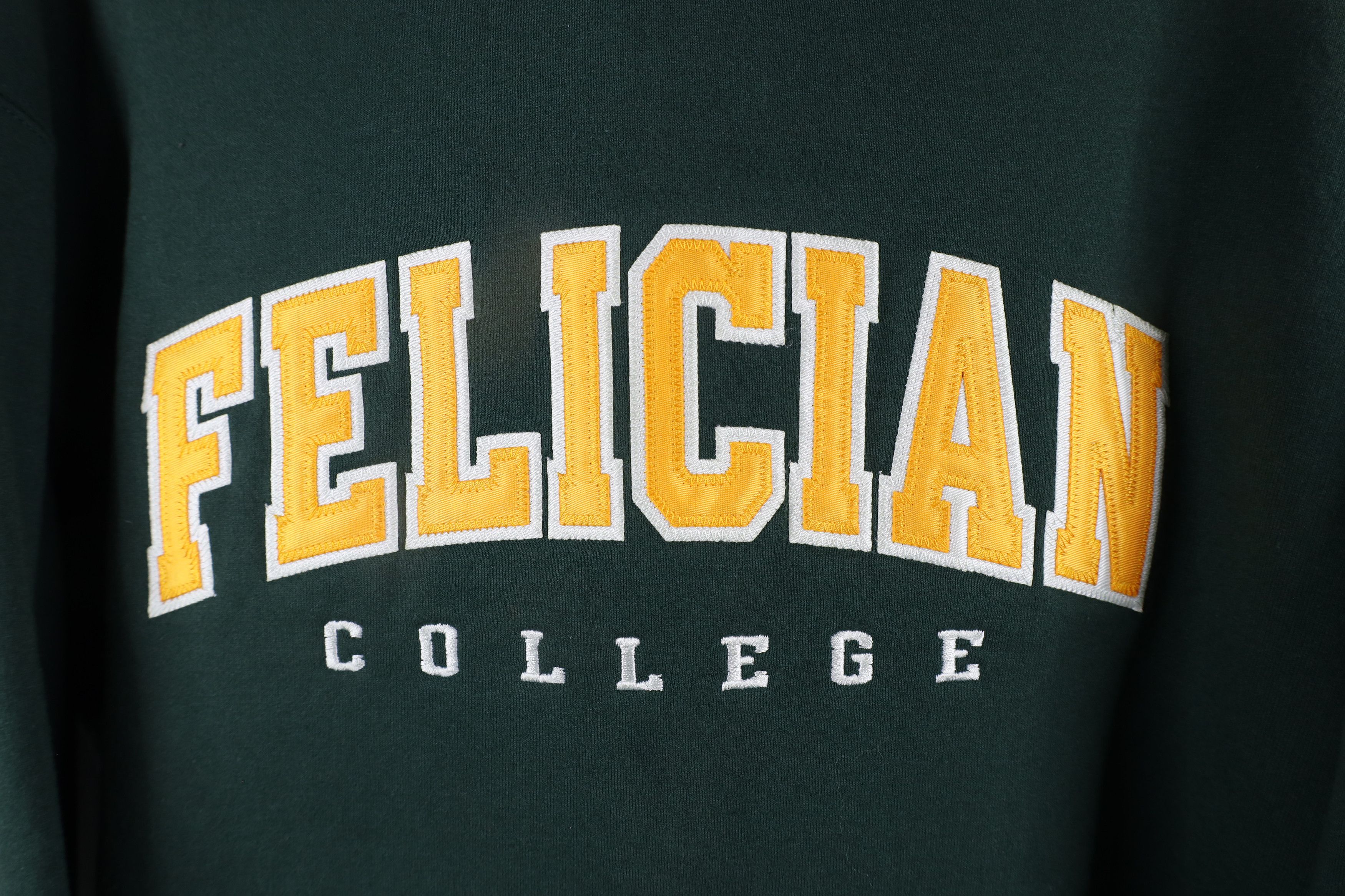 Champion × Vintage Vintage Champion Felician College Hoodie Sweatshirt Size US XL / EU 56 / 4 - 5 Thumbnail