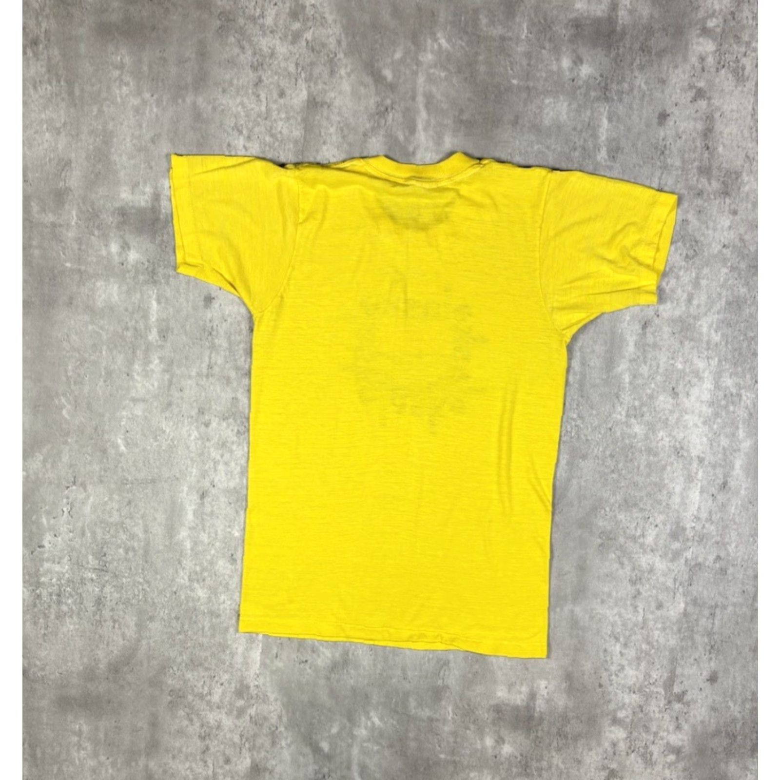 Fruit Of The Loom VINTAGE Fruit of the Loom Shirt 70s Alaska Nature Graphic Tee S Yellow Cotton Mens Short Sleeve Crew Neck History 80s 90s Nature Graphic VINTAGE Size US S / EU 44-46 / 1 - 6 Thumbnail
