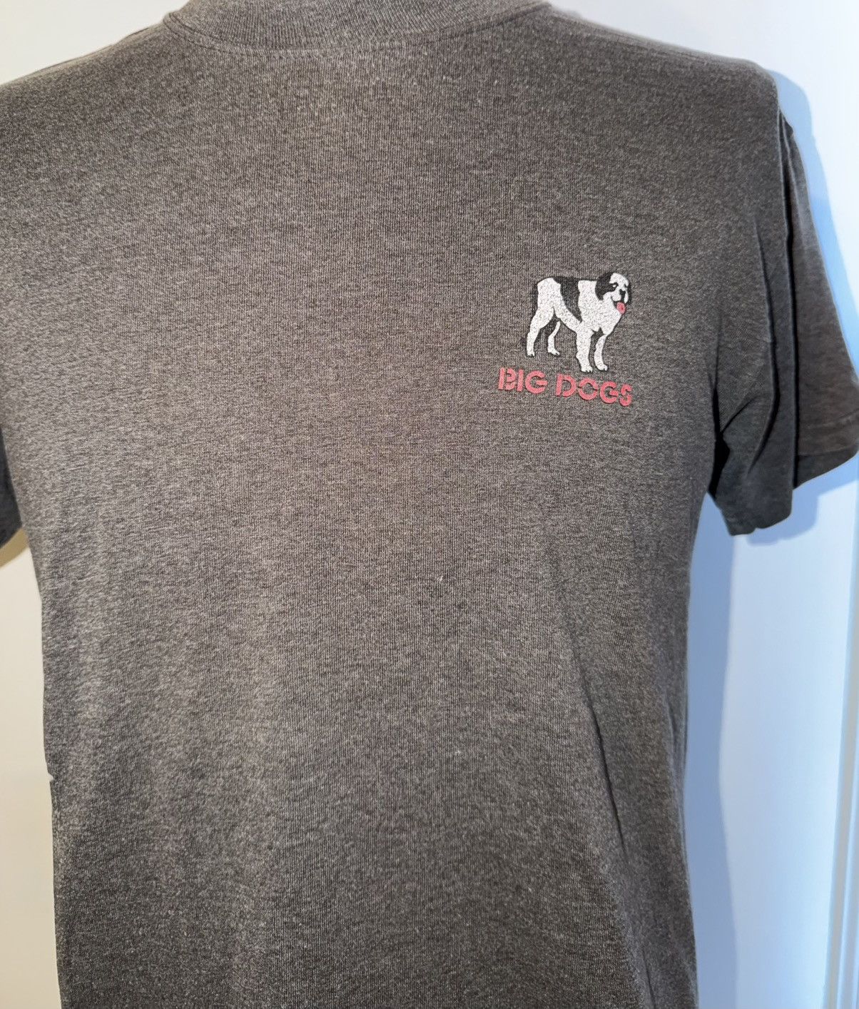 Big Dogs VTG The Big Dogs Of Country T-Shirt Gray Size L Size US L / EU 52-54 / 3 - 3 Thumbnail