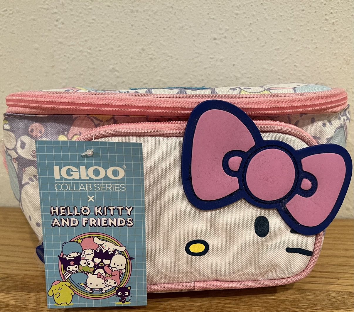 Igloo Cooler Bag