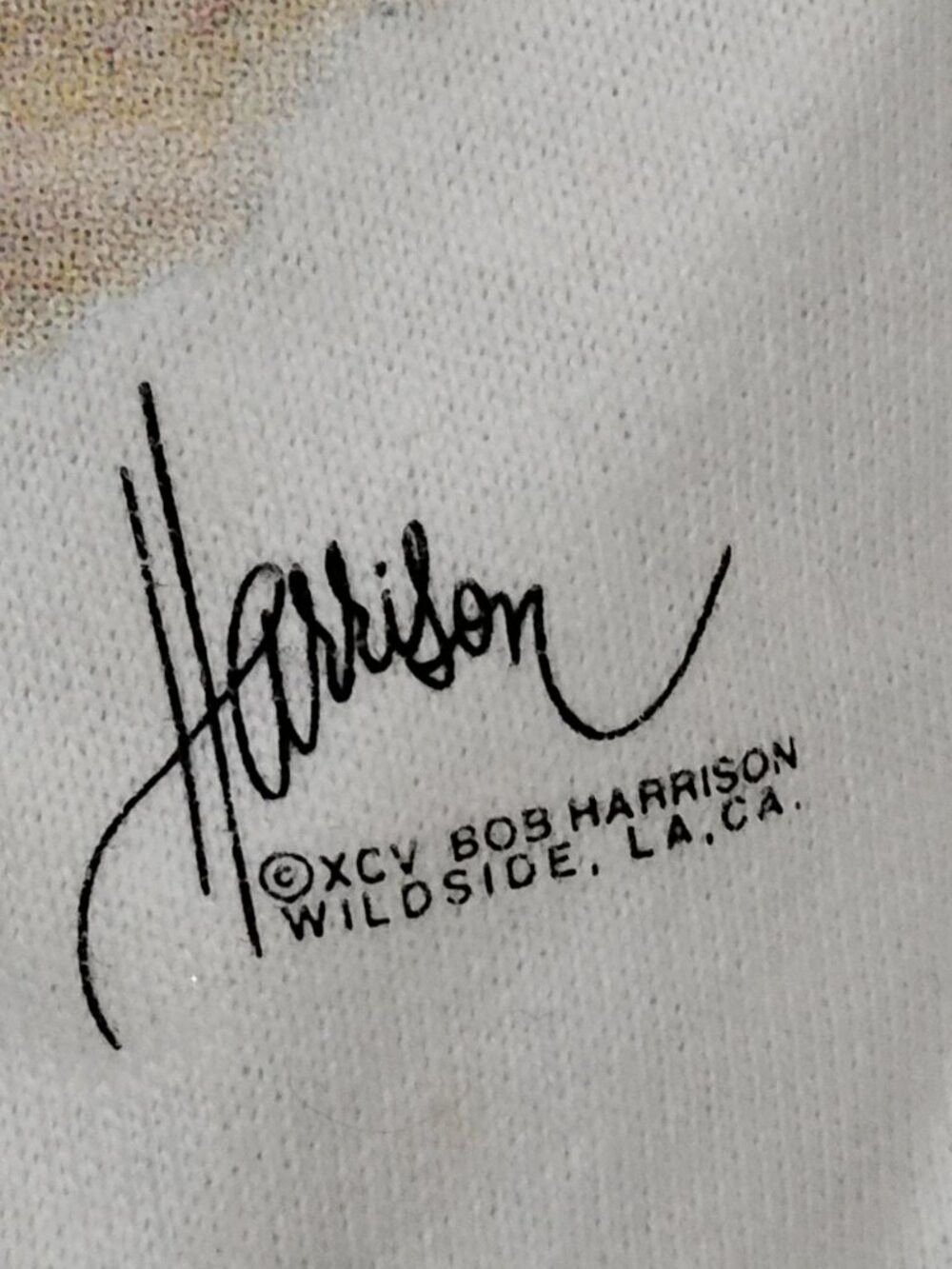 Hanes Vintage Beach Bums Hawaii Cat Kitten Bob Harrison T-Shirt Size US XL / EU 56 / 4 - 3 Thumbnail