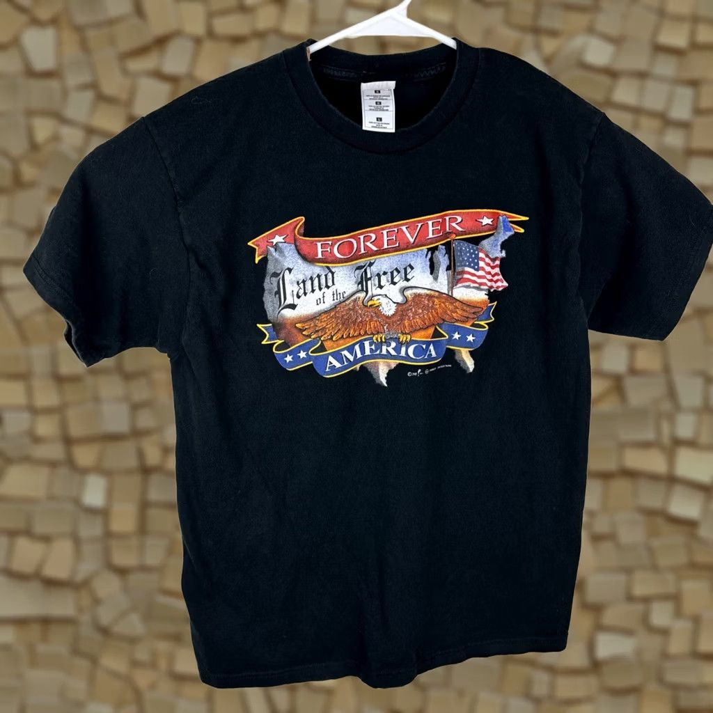 Fruit Of The Loom VINTAGE Land Of The Free T Shirt Large American Black 2000s Eagle Fruit of the Loom Heavy Mens Short Sleeve Cotton USA Patriotic Logo Shirt Size US L / EU 52-54 / 3 - 1 Thumbnail