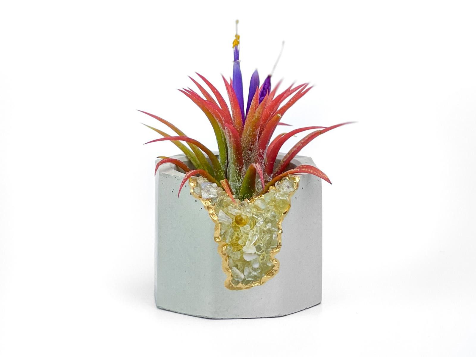 Other Geode Plant Holder Tumbled Citrine Stone Pot Air Plant gift Size ONE SIZE - 2 Thumbnail