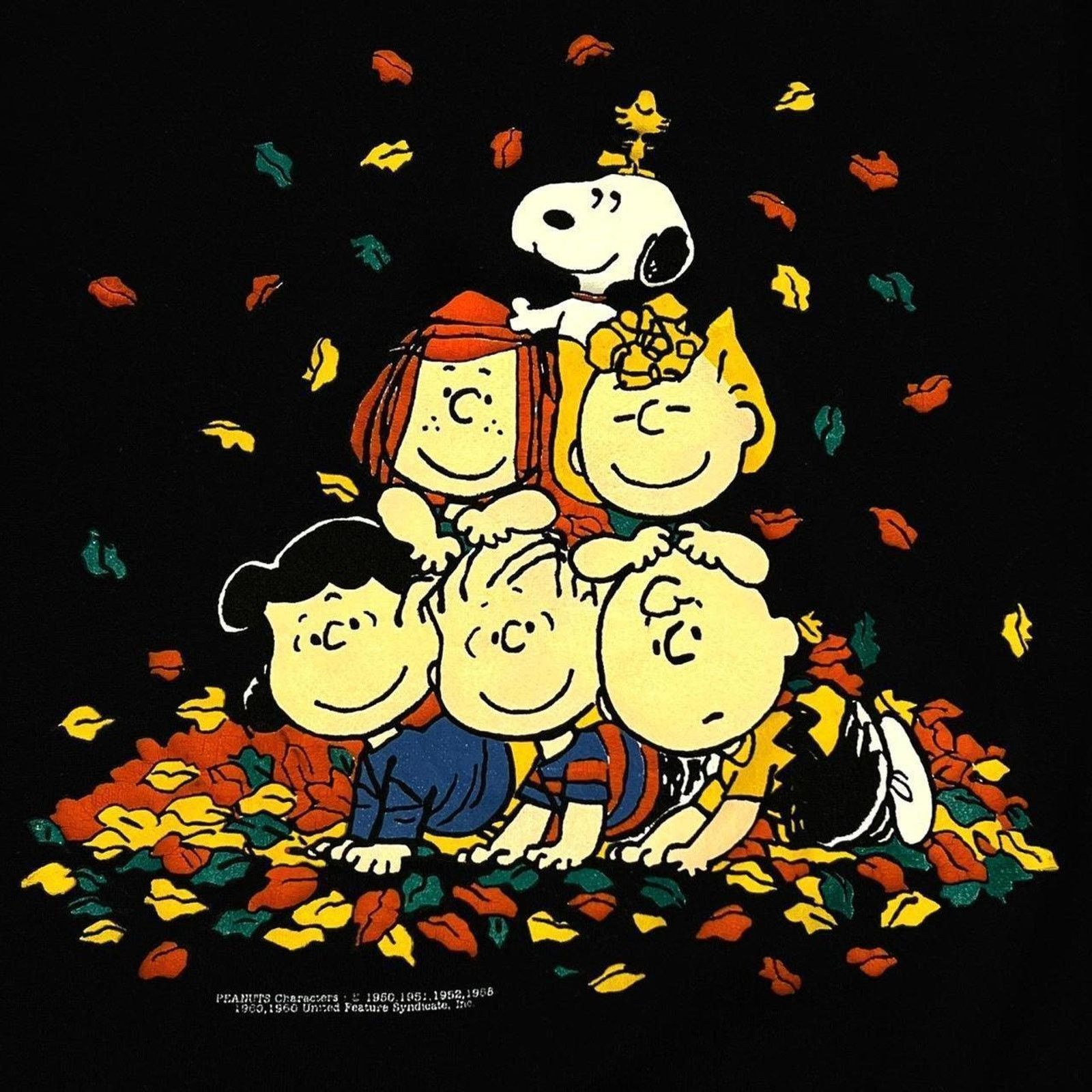 Peanuts Vintage 90s Peanuts Snoopy & Charlie Brown Fall Crewneck Size S / US 4 / IT 40 - 2 Thumbnail