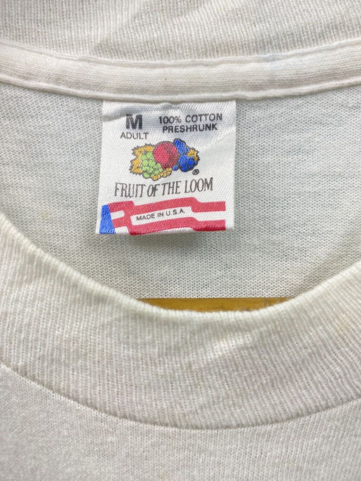 Fruit Of The Loom × Vintage Vintage 90s Fruit Of The Loom ALASKA tee Size US M / EU 48-50 / 2 - 7 Thumbnail