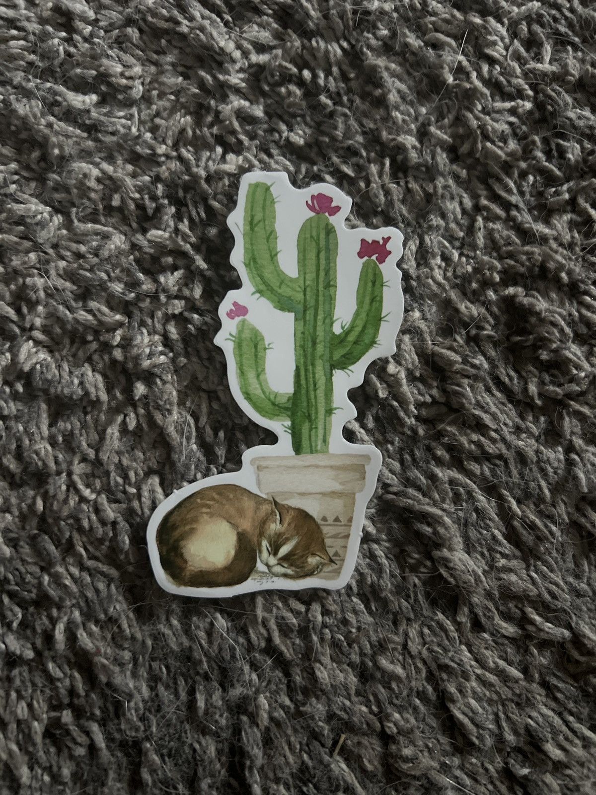 Hypebeast Sleeping Cat Cactus Sticker Size ONE SIZE - 1 Thumbnail