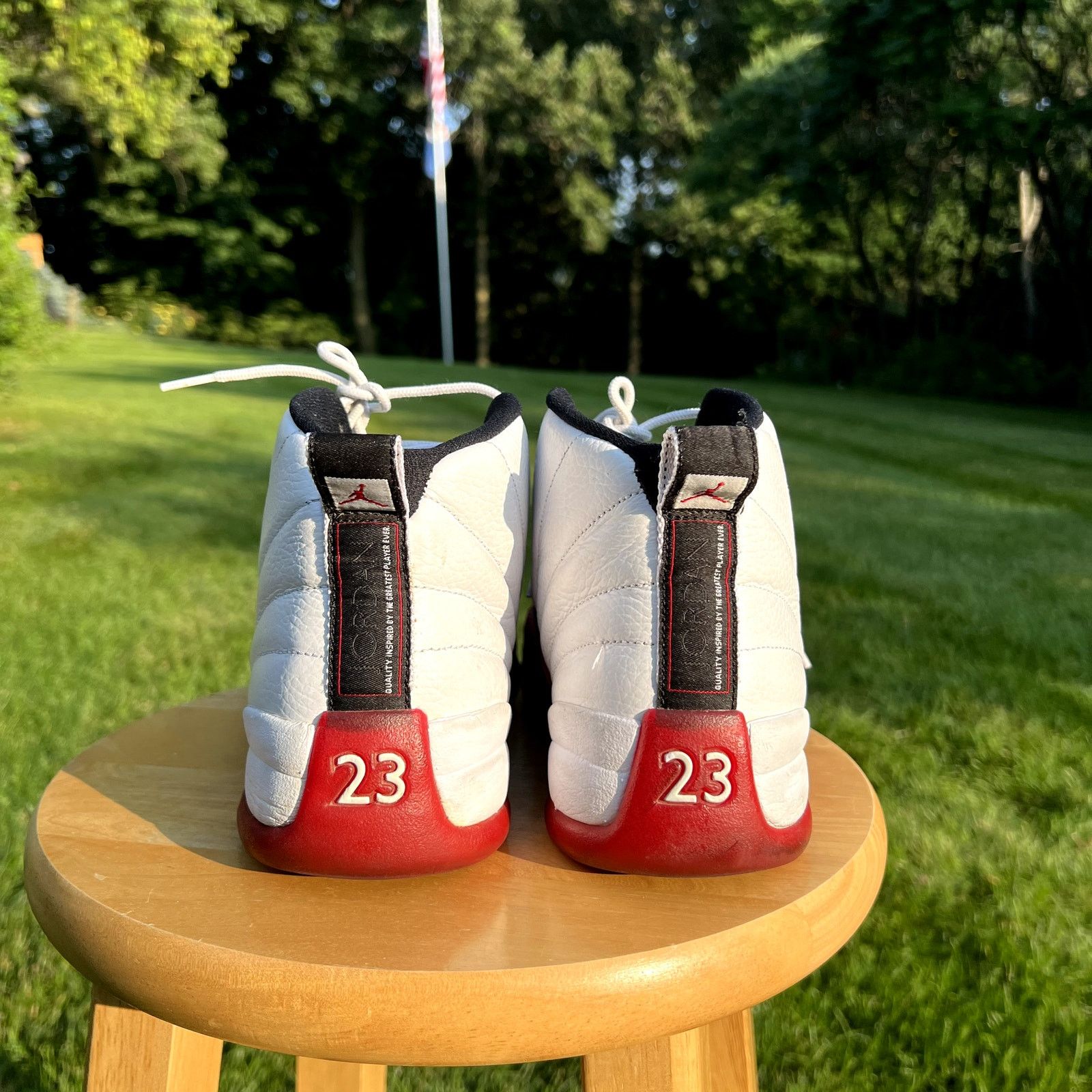 Jordan Brand × Nike Nike Air Jordan 12 Retro Cherry - Size 10.5 - Ships Now Size US 10.5 / EU 43-44 - 5 Thumbnail