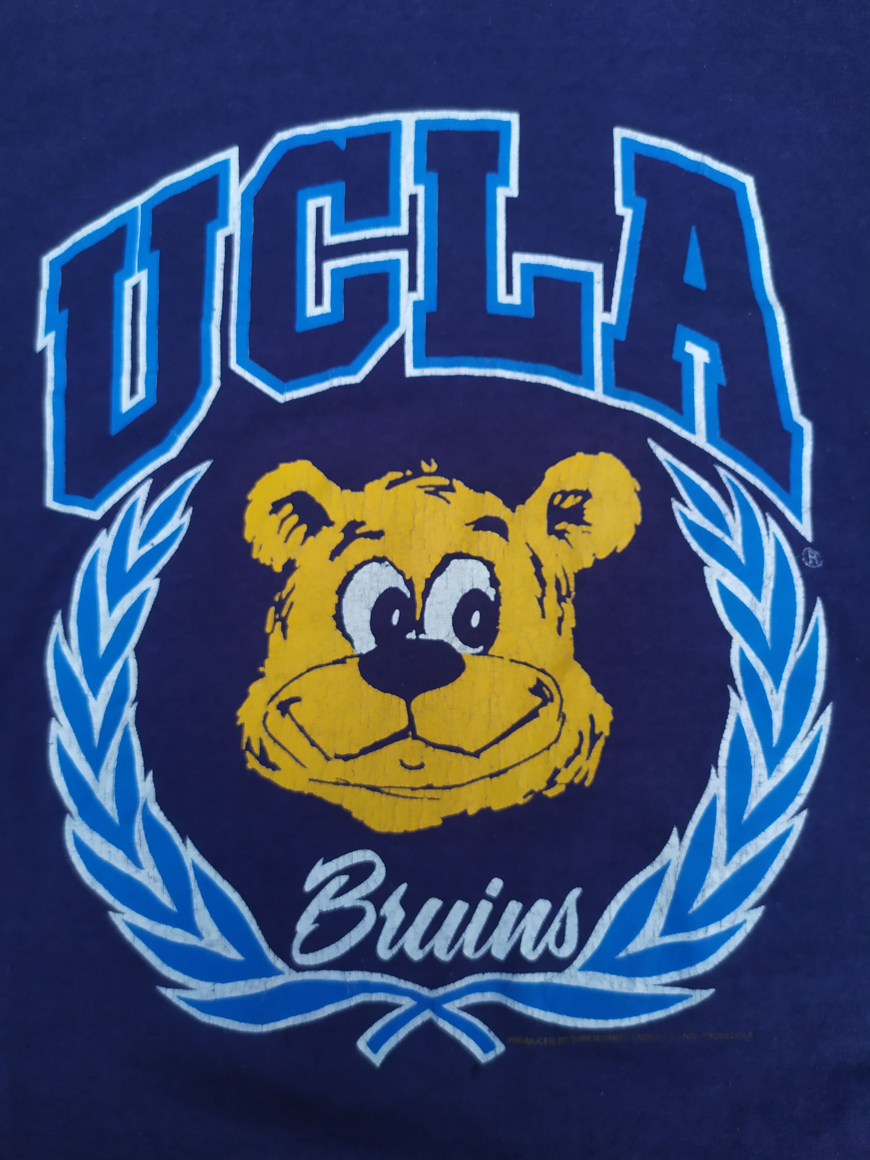 Vintage 80s Jerzees Ucla Bruins