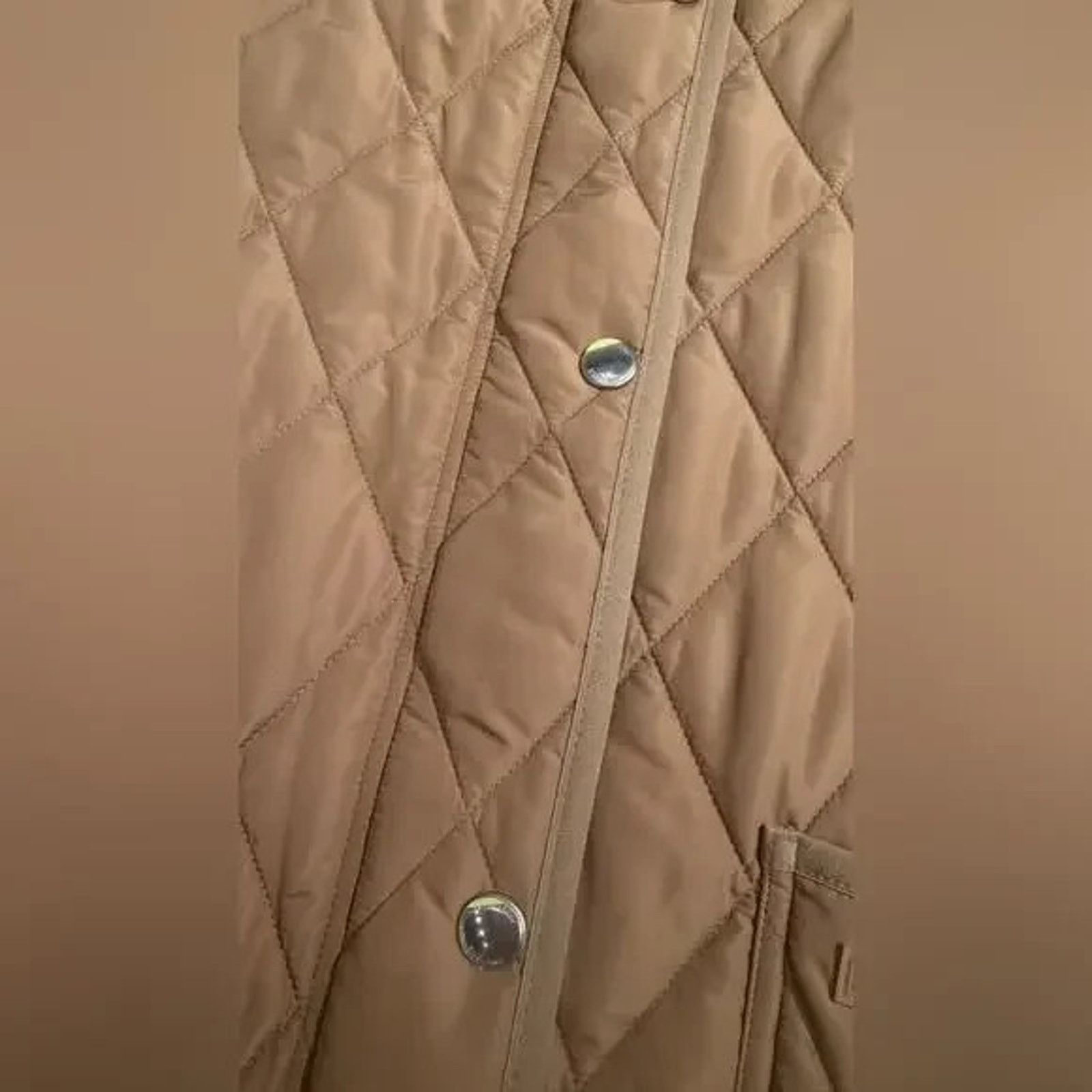 Burberry BURBERRY PARKGATE BEIGE HOODED QUILTED LONG JACKET L $2K Size L / US 10 / IT 46 - 9 Thumbnail
