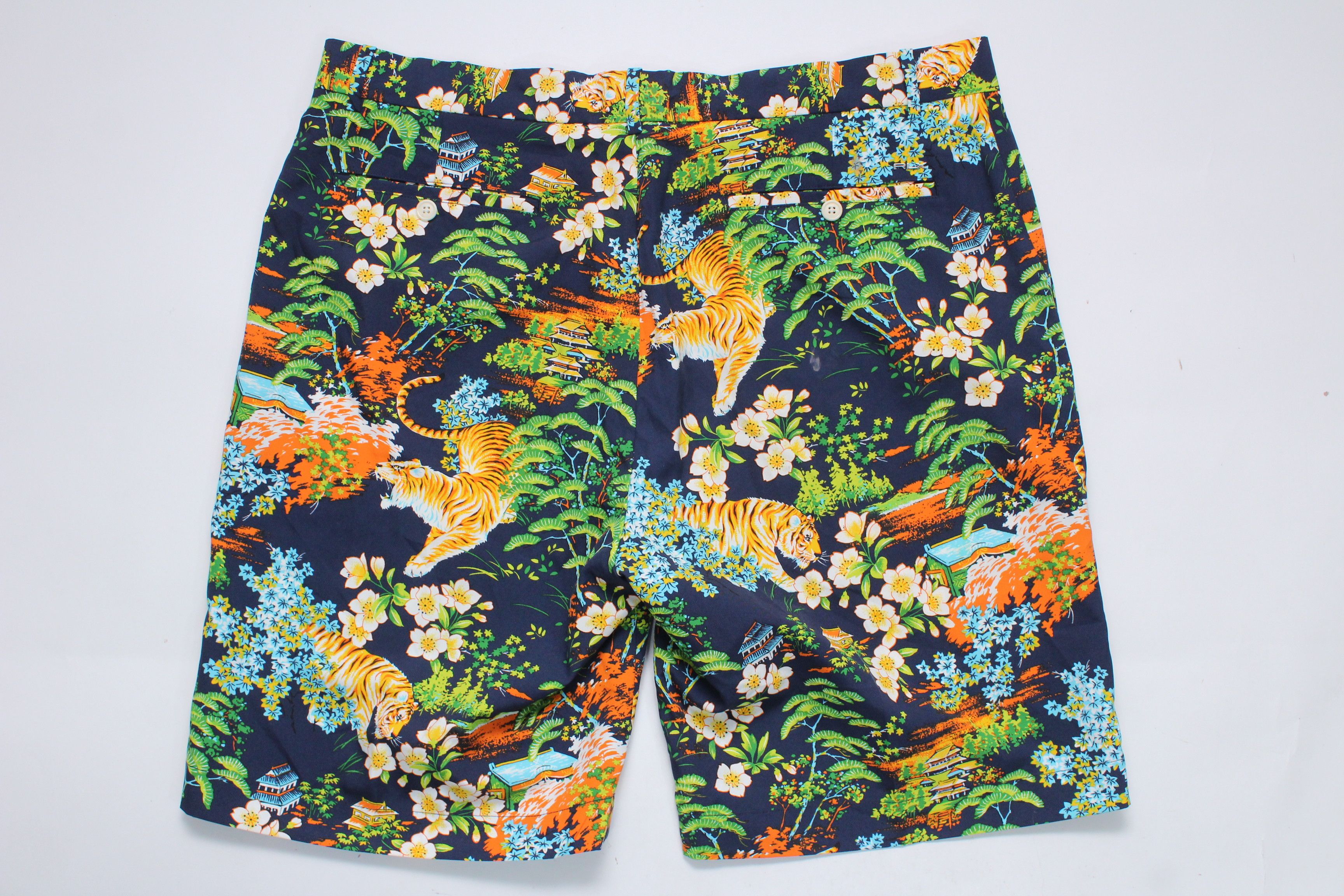 Ralph Lauren Ralph Lauren RLX Swim Shorts Mens Size 38 Hype Rare Size US 38 / EU 54 - 2 Thumbnail