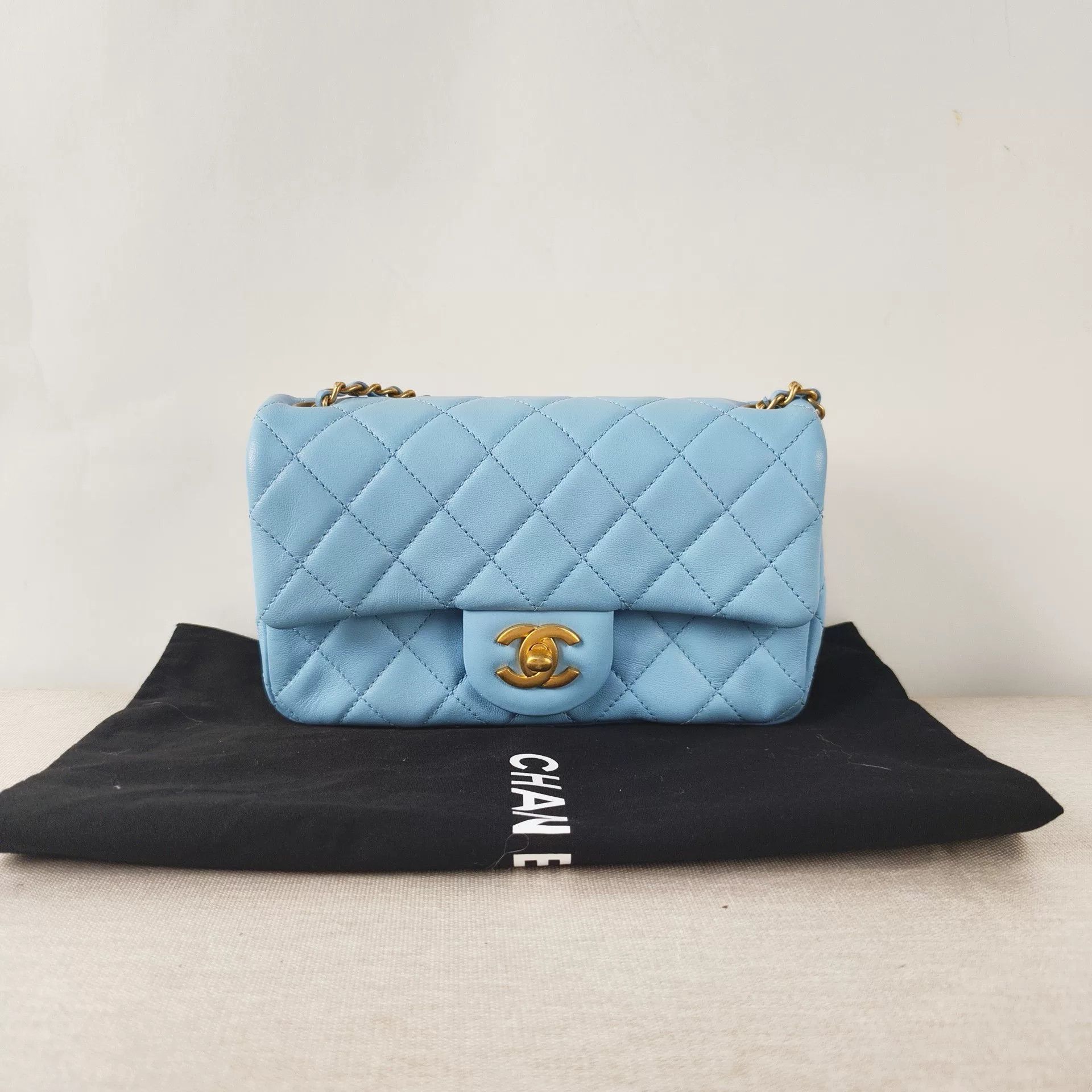 Chanel Pre-loved Bag Brand new condition Size ONE SIZE - 1 Thumbnail