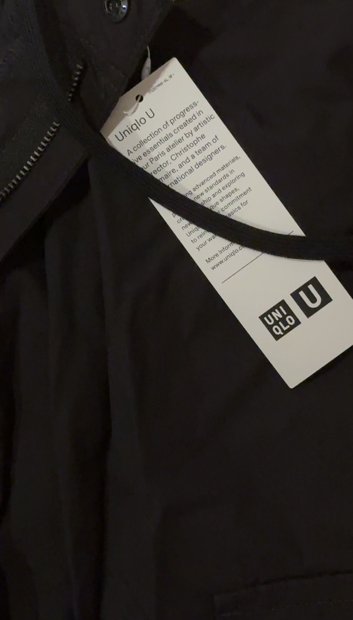 Uniqlo UNIQLO Wide Fit Baggy Parachute Cargo Pants Size US 31 - 3 Thumbnail