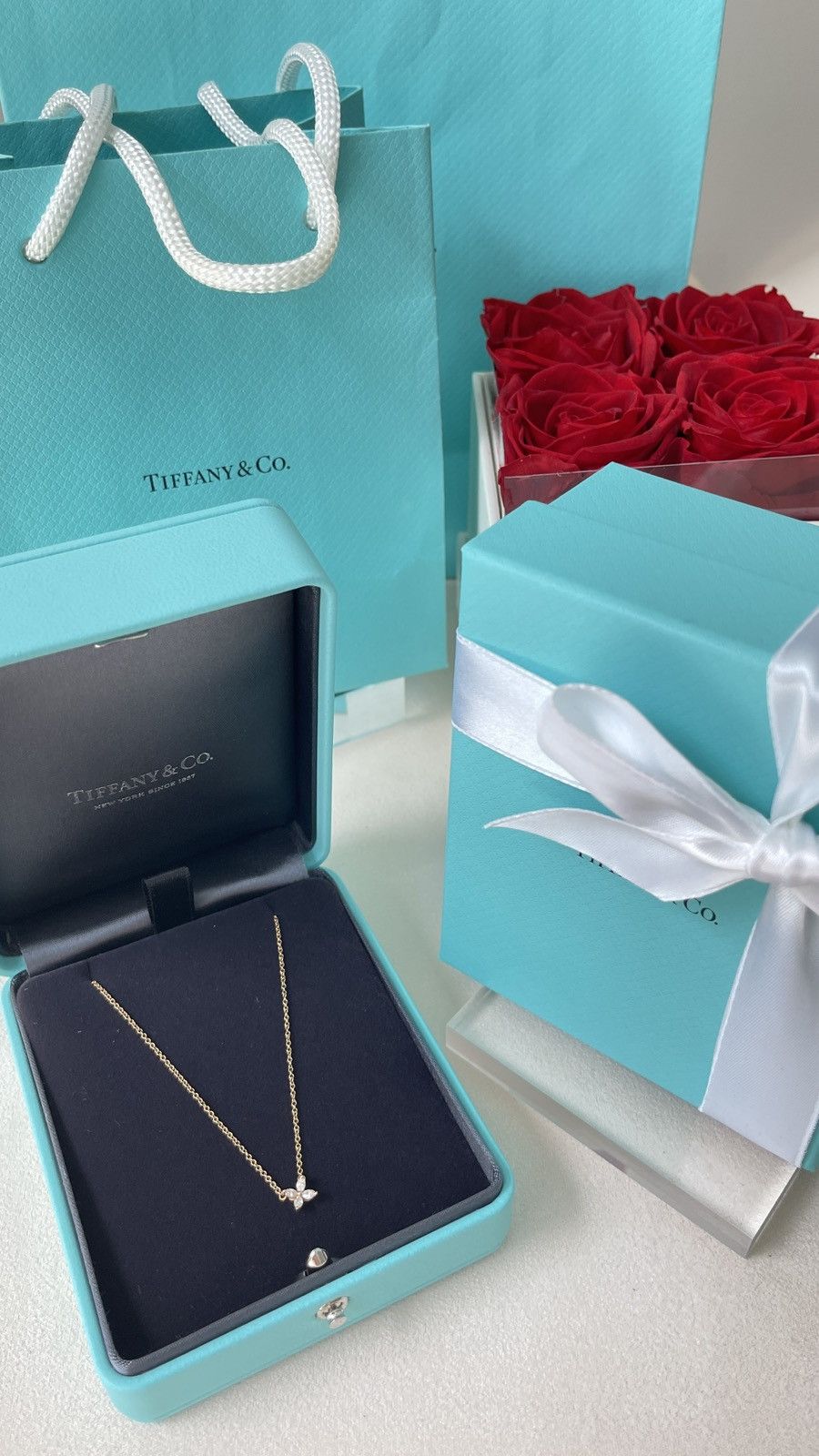 Tiffany & Co. TIFFANY & CO. VICTORIA DIAMOND PENDANT RG MINI 18K 16" $2800 Size ONE SIZE - 5 Thumbnail