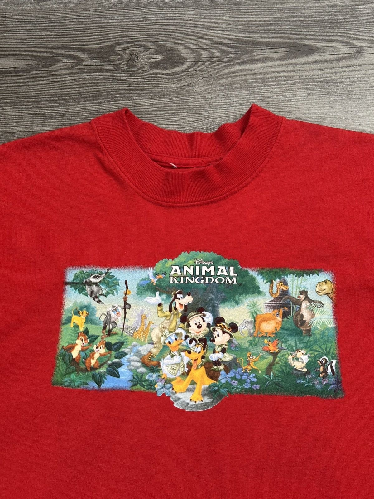 Disney × Vintage Vintage 90’s Disney World Animal Kingdom T Shirt Size US S / EU 44-46 / 1 - 2 Thumbnail