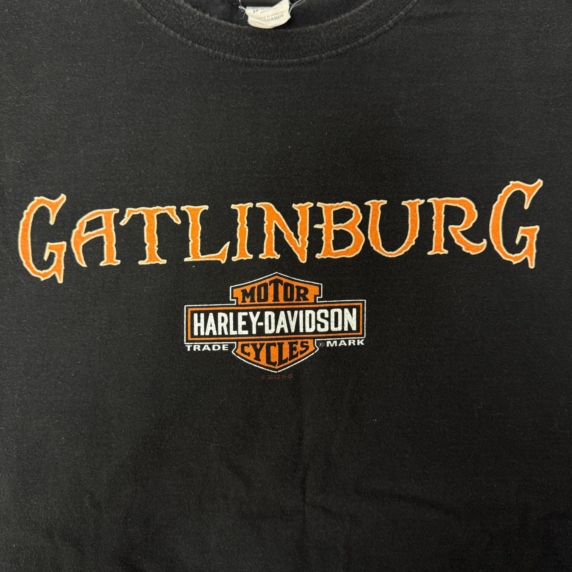 Harley Davidson Harley Davidson GATLINBURG TN Smoky Mountain HILLBILLY Outpo Size US XXL / EU 58 / 5 - 4 Thumbnail