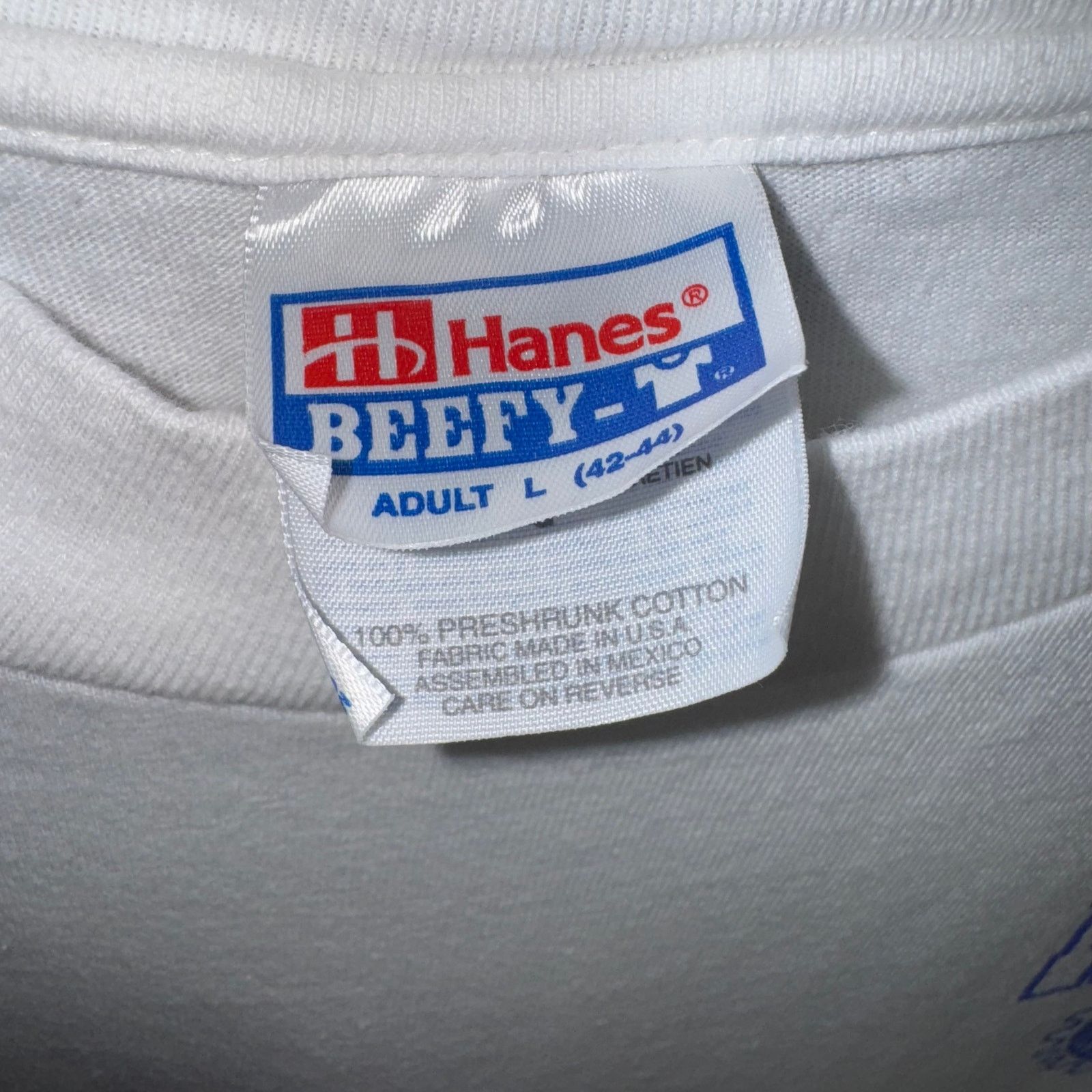 Hanes Vintage Y2K 10k needles walk bike run California 90s t-shirt Size US L / EU 52-54 / 3 - 4 Thumbnail