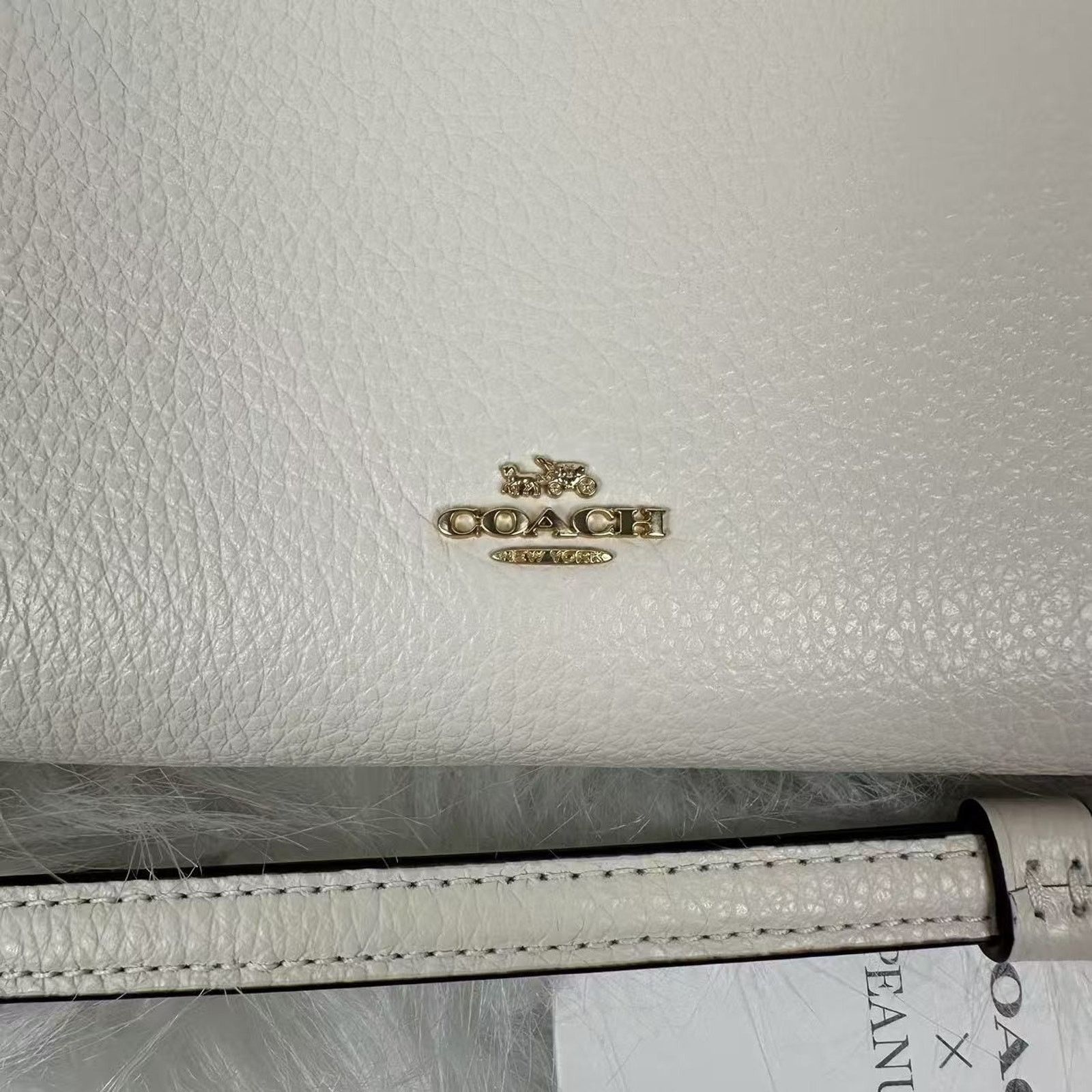 Coach COACH x PEANUTS Long Zip Around Wallet Snoopy Friends Chalk Size ONE SIZE - 7 Thumbnail