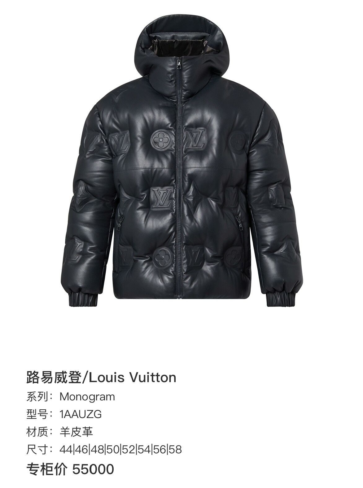 Louis Vuitton Louis Vuitton Monogram Embossed Hooded Down Jacket Size US L / EU 52-54 / 3 - 6 Thumbnail