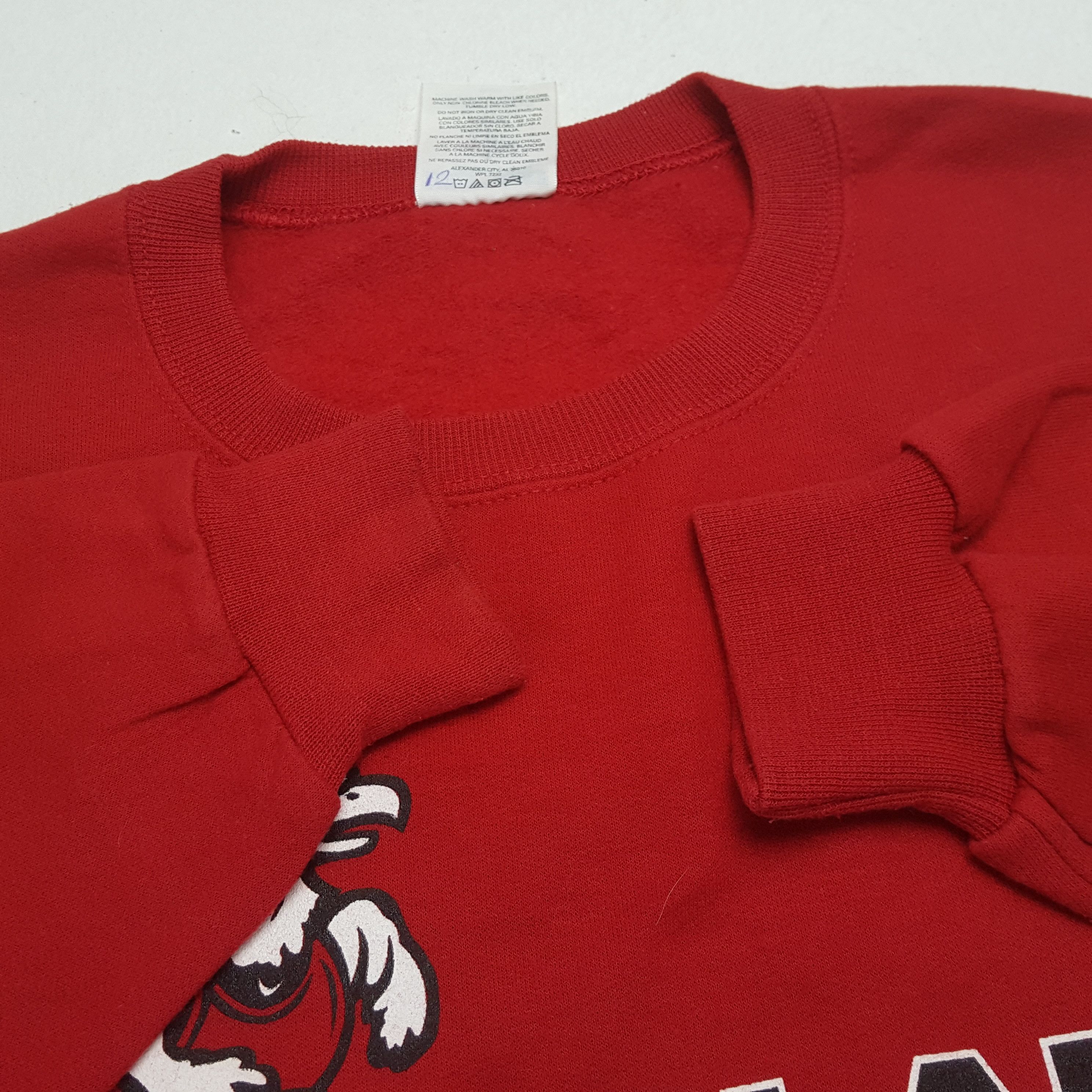 NBA × Vintage Vintage HILAND HAWKS BASKETBALL NBA Promo Sweatshirts Size US XL / EU 56 / 4 - 7 Thumbnail