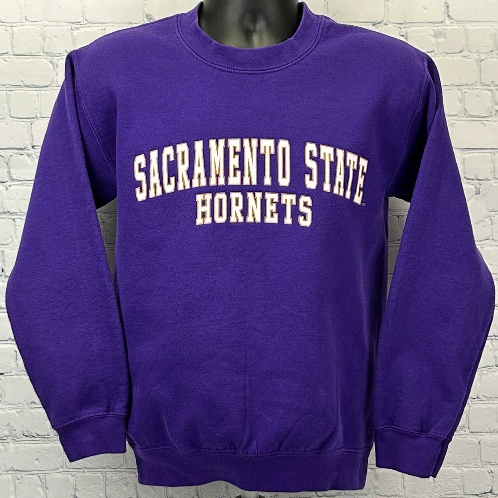 Vintage Vintage 90s Sacramento SAC State Hornets Sweatshirt Purple S Size US S / EU 44-46 / 1 - 2 Thumbnail