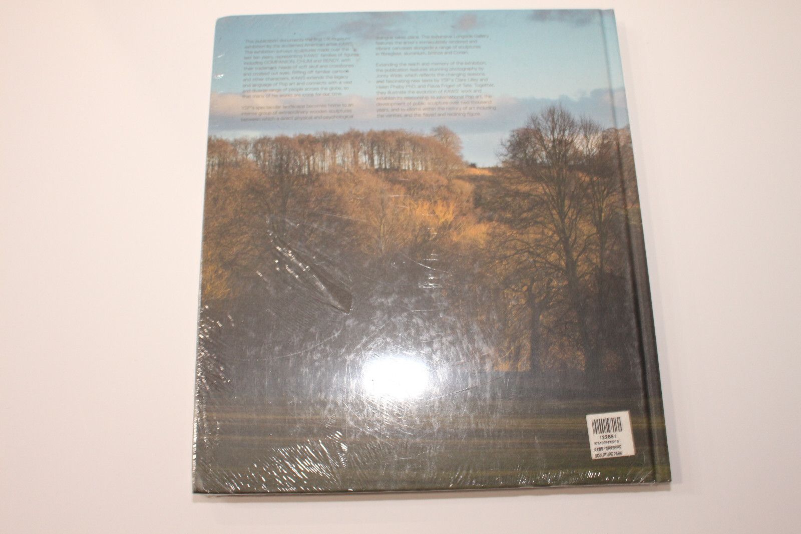 Kaws Kaws Yorkshire Sculpture Park YSP Catalogue Hardcover Book Size ONE SIZE - 7 Thumbnail