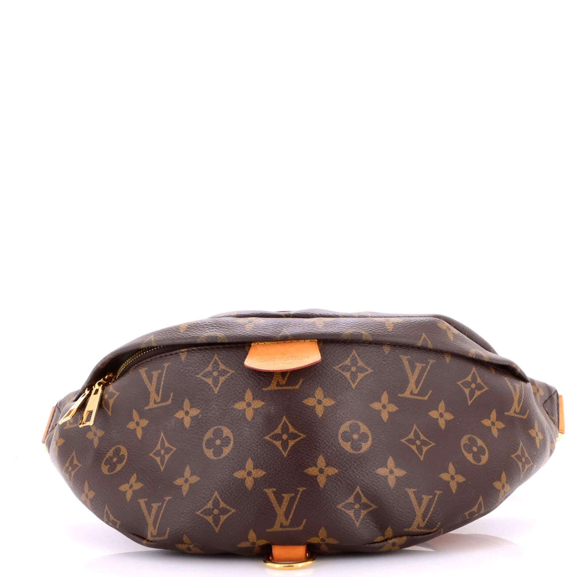 Louis Vuitton Bum Bag Size ONE SIZE - 1 Thumbnail