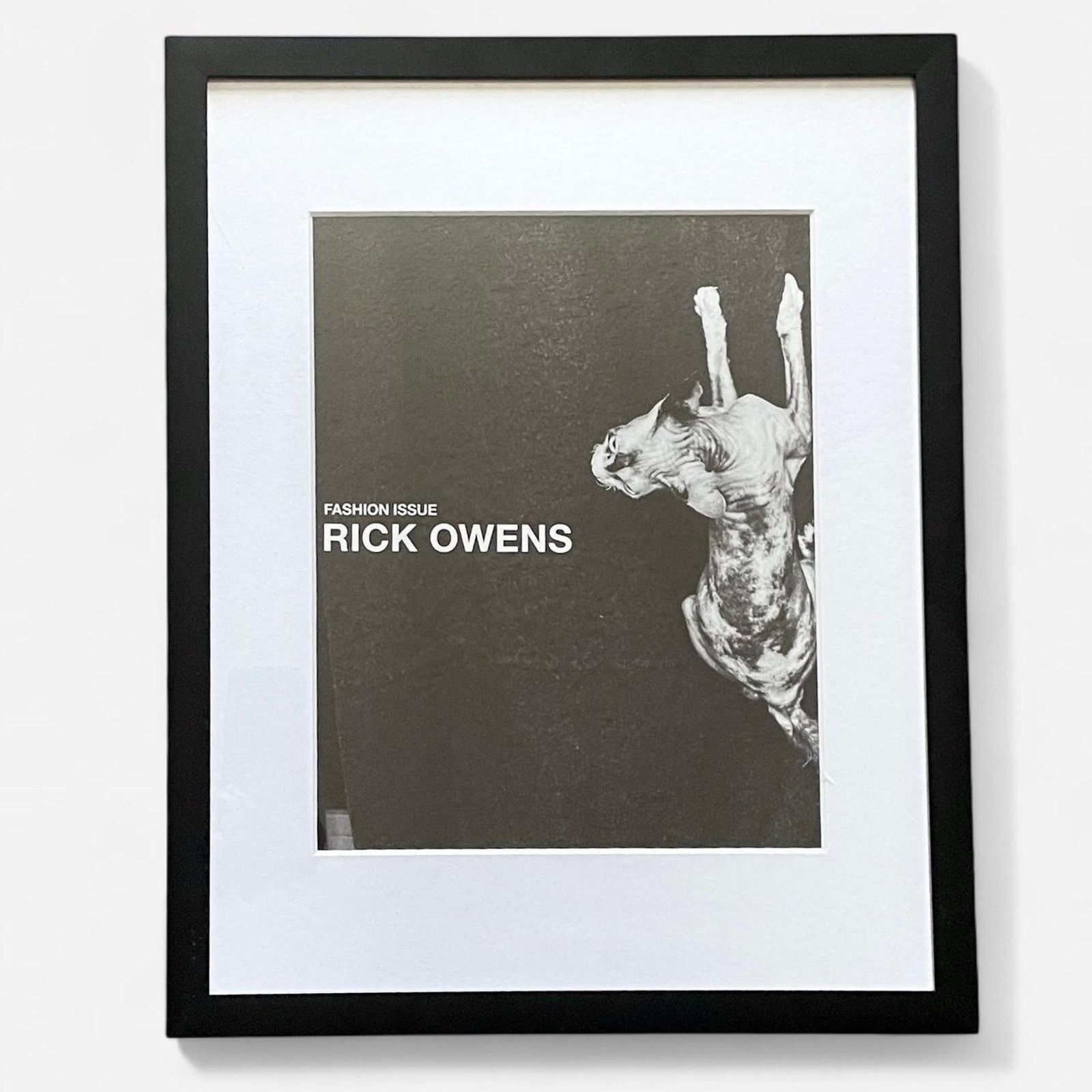 Rick Owens × Rick Owens Drkshdw × Vintage Rick Owens framed poster