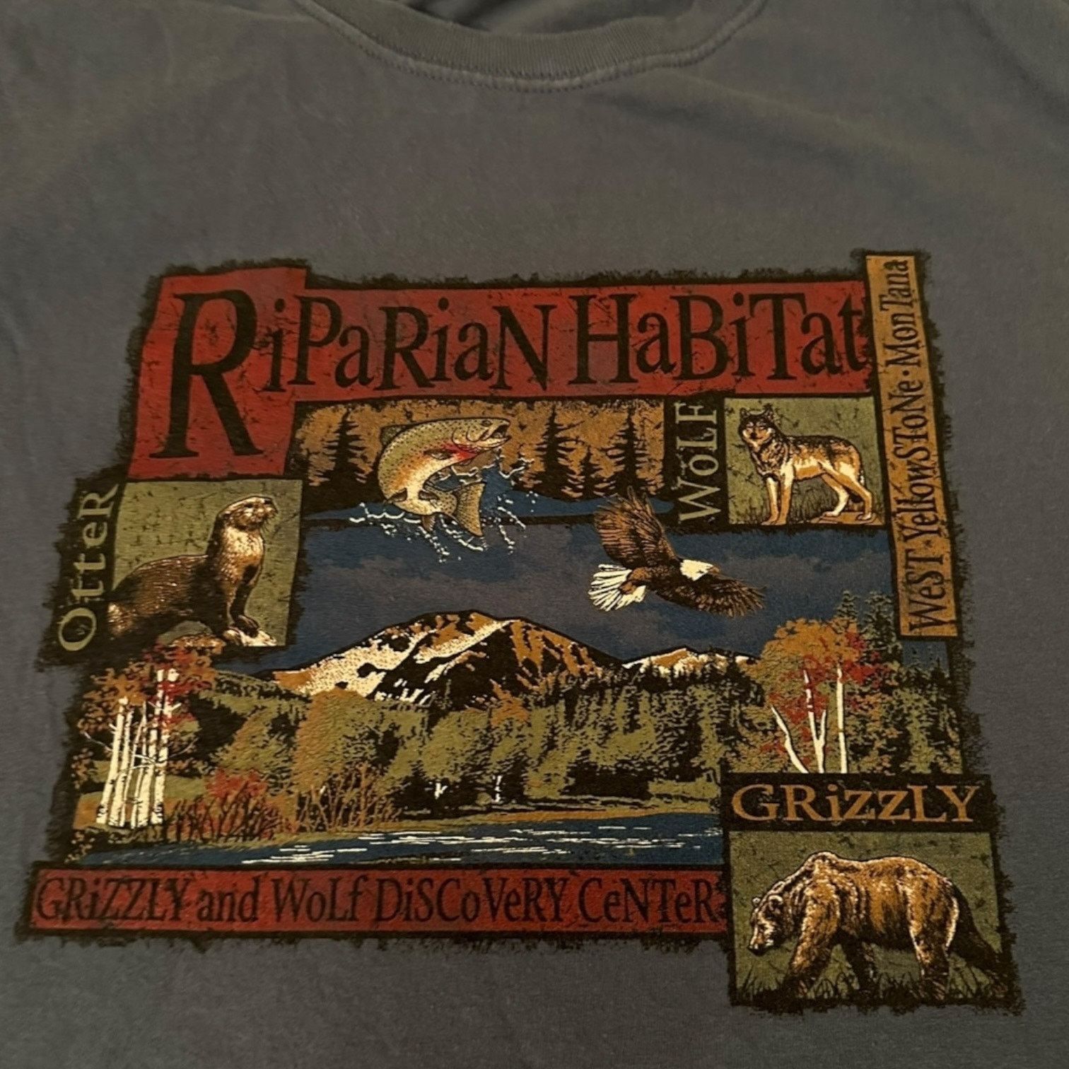Fruit Of The Loom Grizzly and Wolf nature tee early 2000s Size US L / EU 52-54 / 3 - 2 Thumbnail