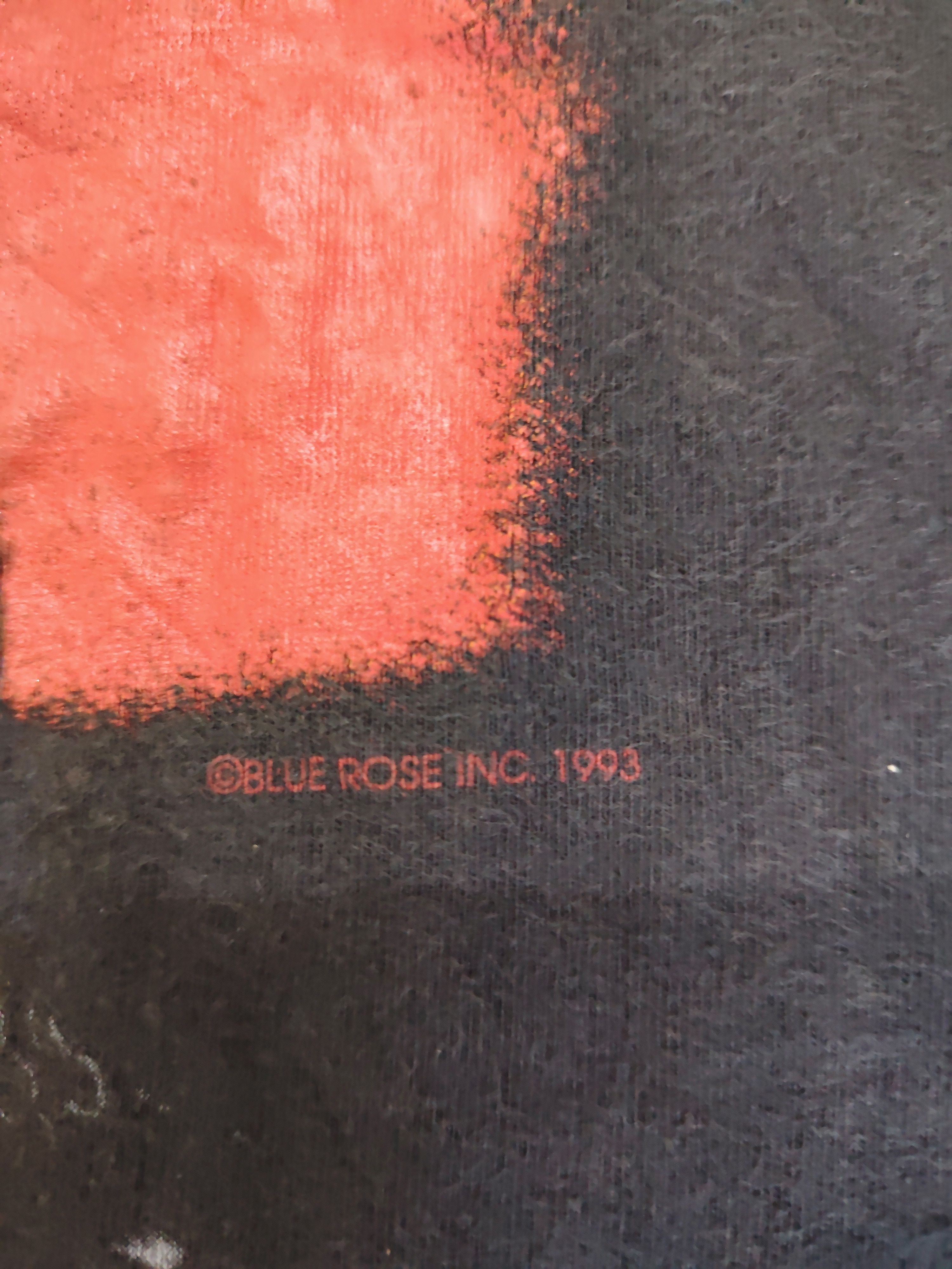 Hanes Vintage 1993 Garth T-Shirt by Blue Rose Size US XL / EU 56 / 4 - 6 Thumbnail