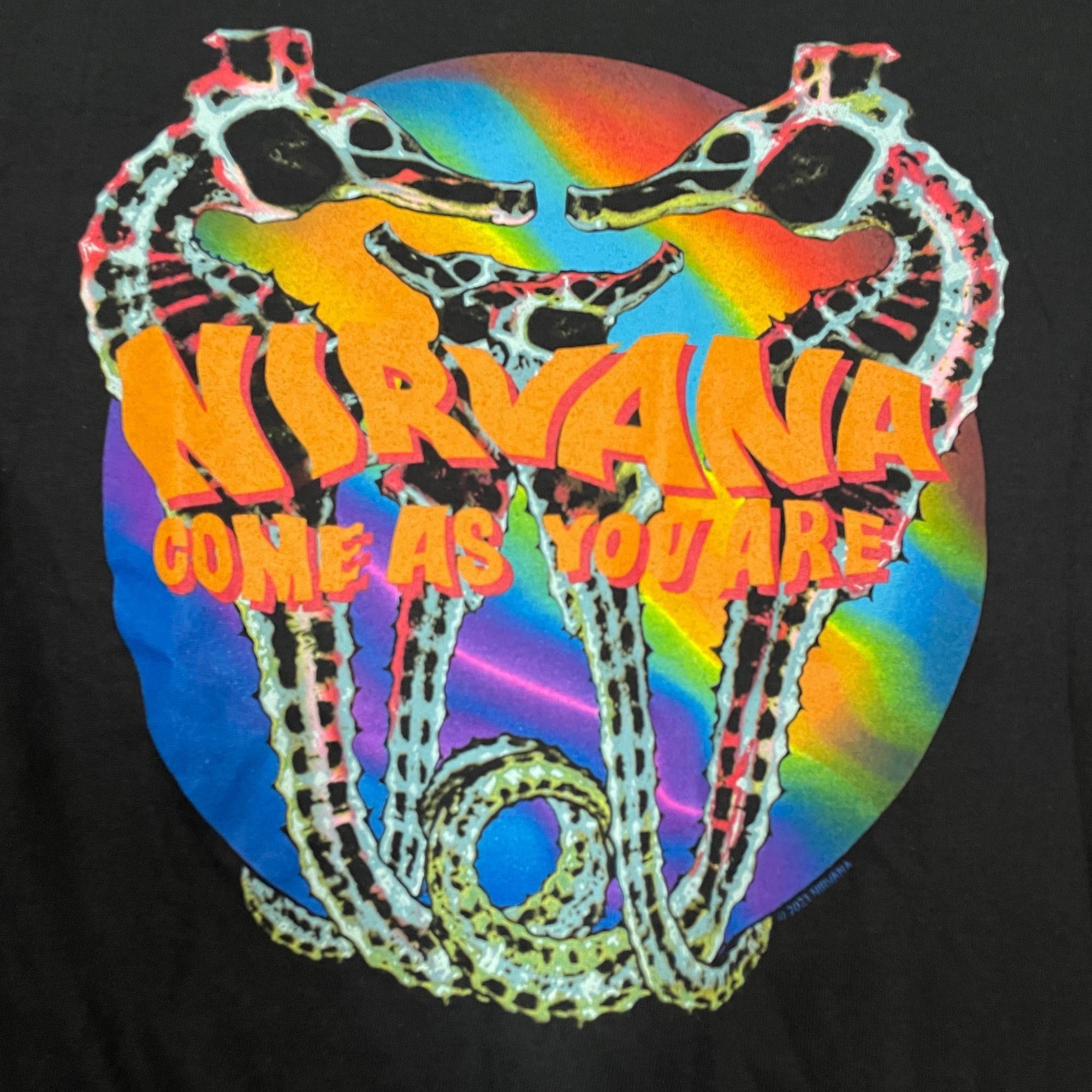 Nirvana Nirvana Come As You Are Roxanne Rock T-shirt size Small Size US S / EU 44-46 / 1 - 3 Thumbnail
