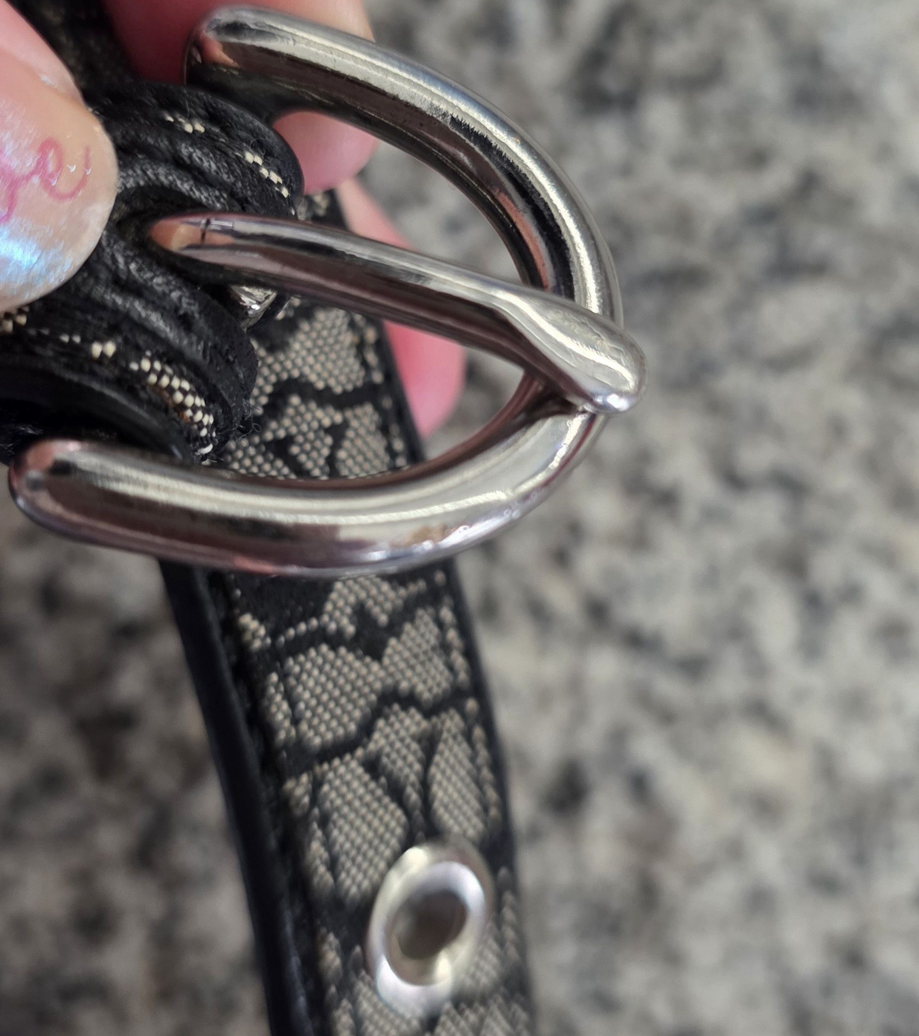 Coach Authentic Coach Signature Black Gray Logo Pet Collar 4003 M Size ONE SIZE - 7 Thumbnail