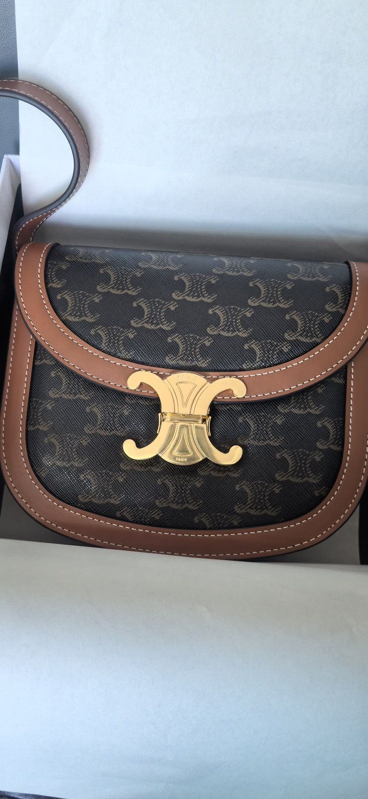 Celine Classique Triomphe Bag in Triomphe Canvas and Calfskin Size ONE SIZE - 1 Thumbnail