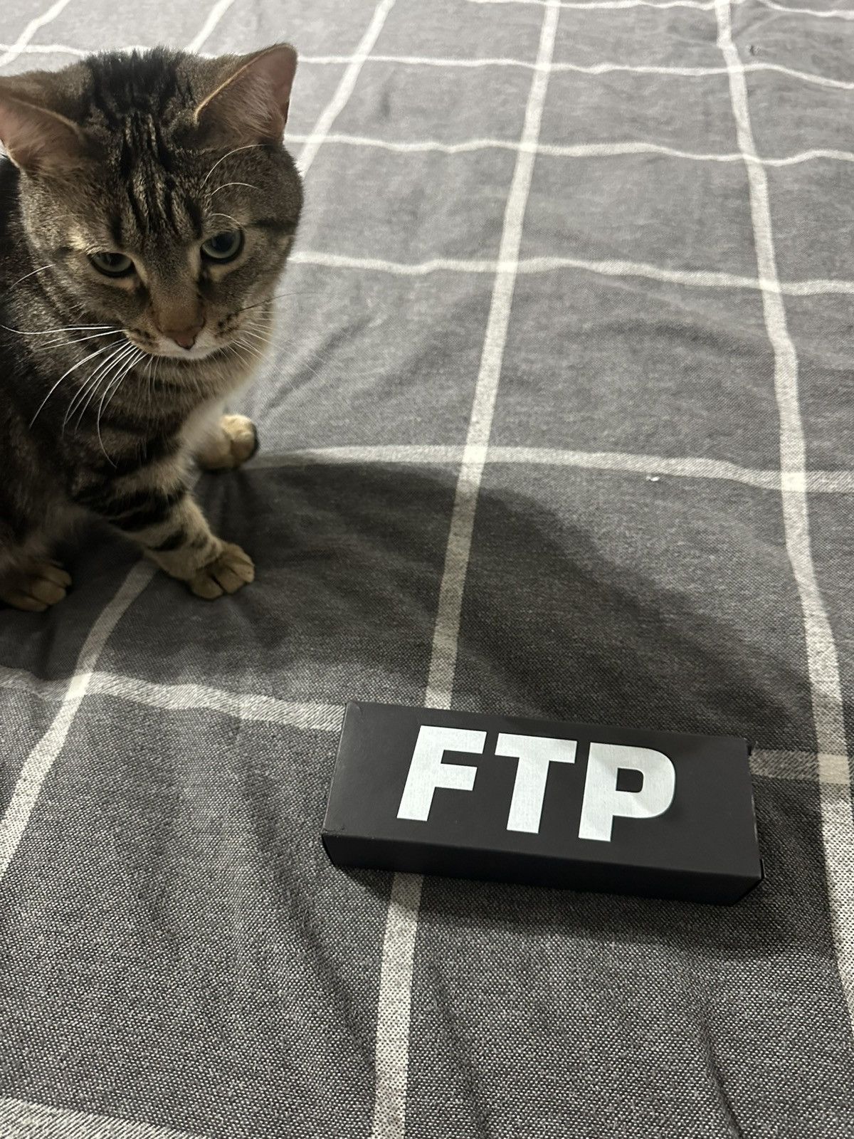 Fuck The Population FTP Domino Set Size ONE SIZE - 2 Thumbnail