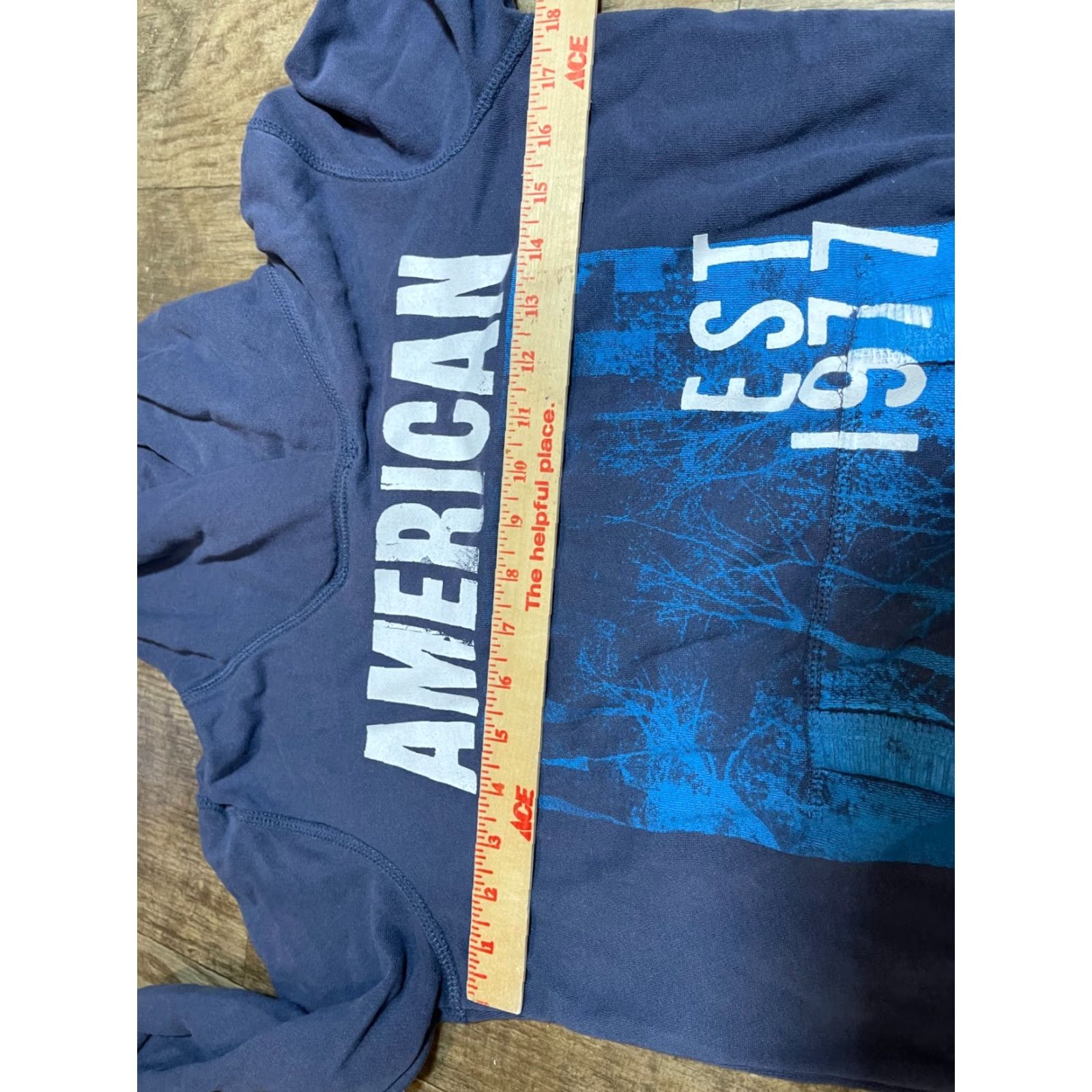 American Eagle Outfitters American Eagle Outfitters Hoodie Mens M Blue Hooded Sweatshirt Size US M / EU 48-50 / 2 - 4 Thumbnail