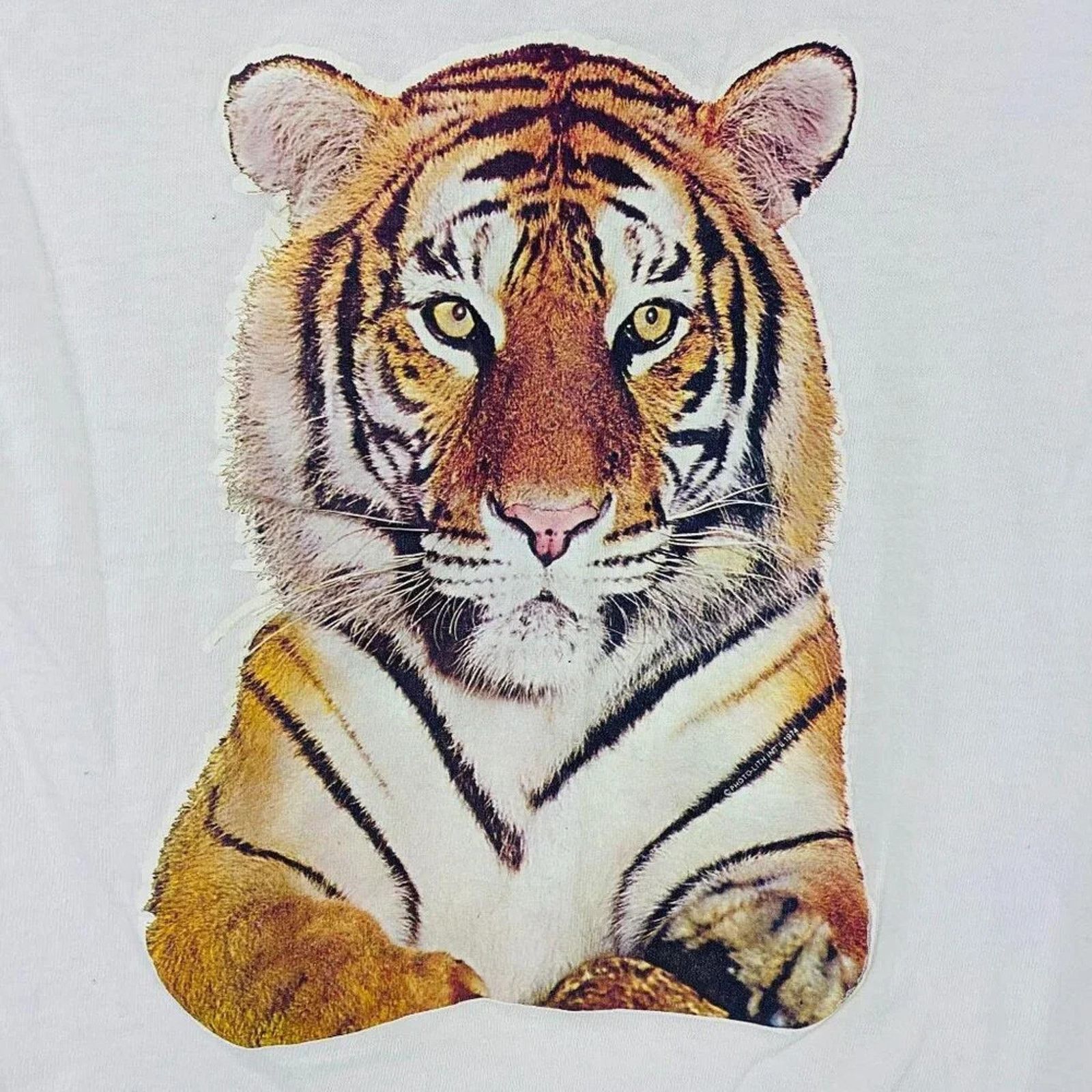 Hanes Vintage Hanes Single Stitch Tiger Graphic Tee Crew Neck S Size S / US 4 / IT 40 - 2 Thumbnail