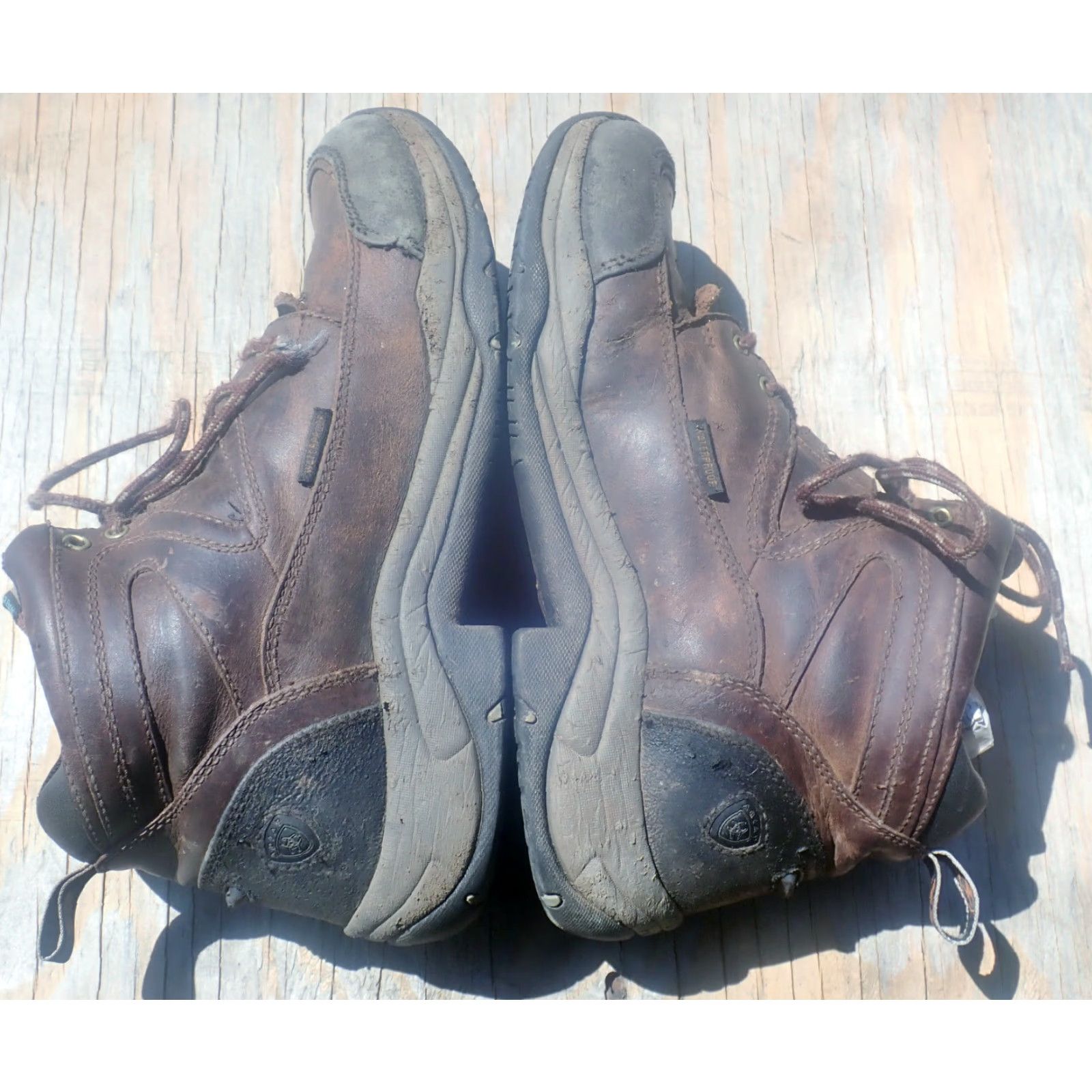 Ariat Ariat Terrain H2O Waterproof Soft Toe Hiking Boots Womens' 9.5 B Size US 7 / IT 37 - 5 Thumbnail