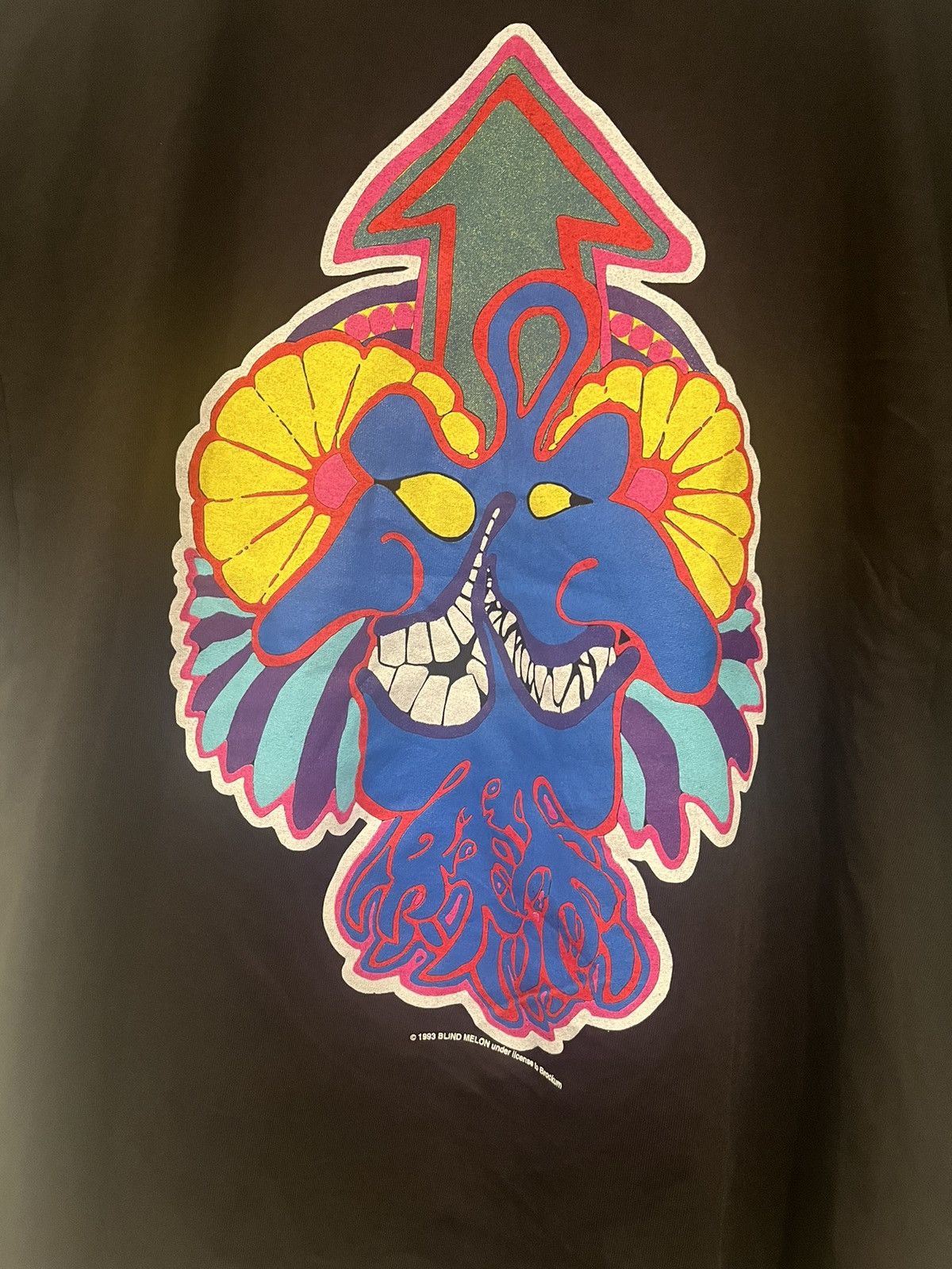 Band Tees 1993 Blind Melon Band tshirt (READ DESCRIPTION) Size US L / EU 52-54 / 3 - 2 Thumbnail