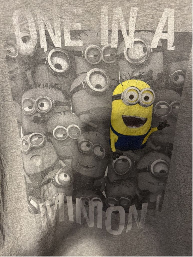 The Unbranded Brand Minions Despicable Me T-Shirt Men's Size L Gray Size US L / EU 52-54 / 3 - 5 Thumbnail