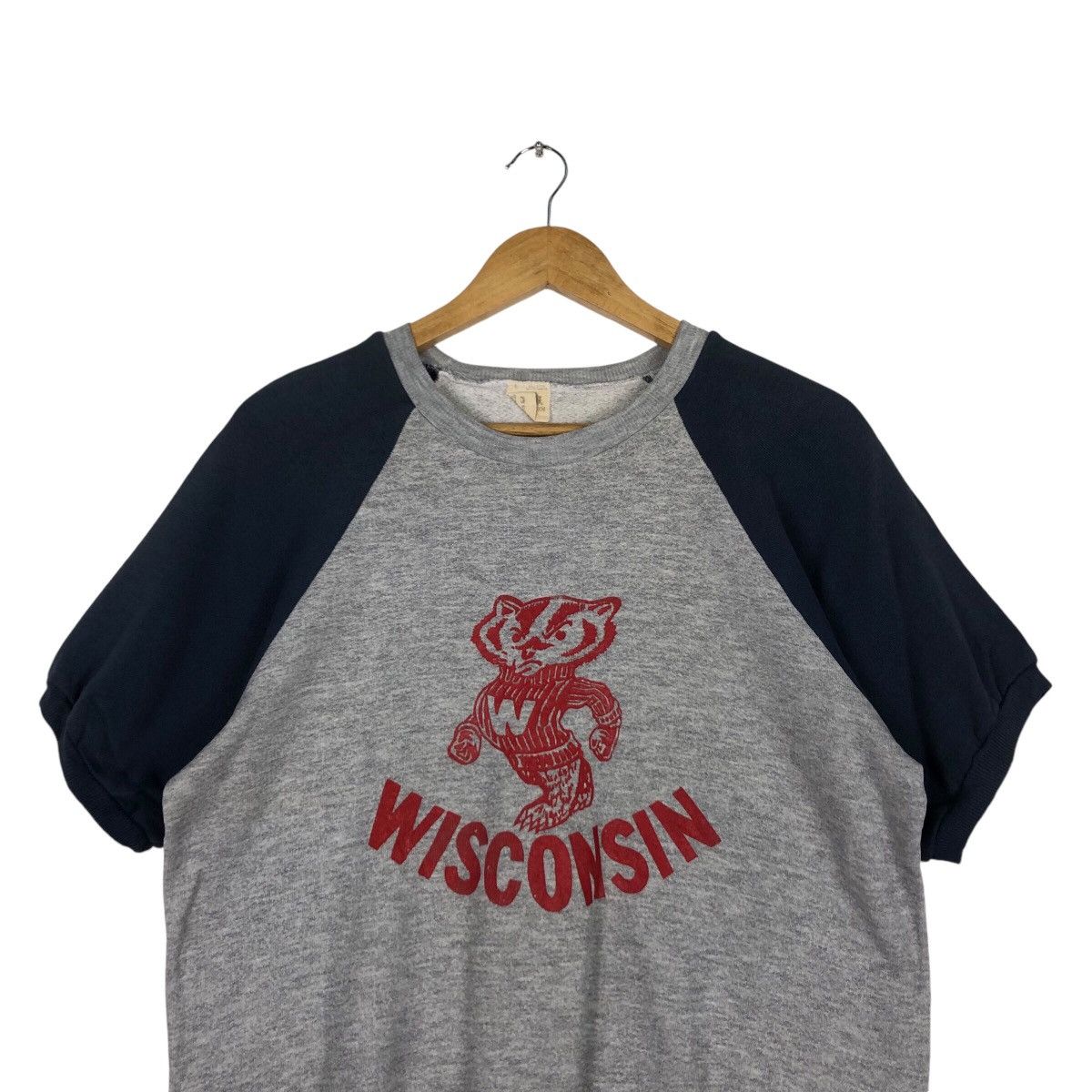 Fruit Of The Loom × Japanese Brand × Vintage Vintage Visconsin Fruits OF Loam Sweatshirt medium Size US M / EU 48-50 / 2 - 2 Thumbnail